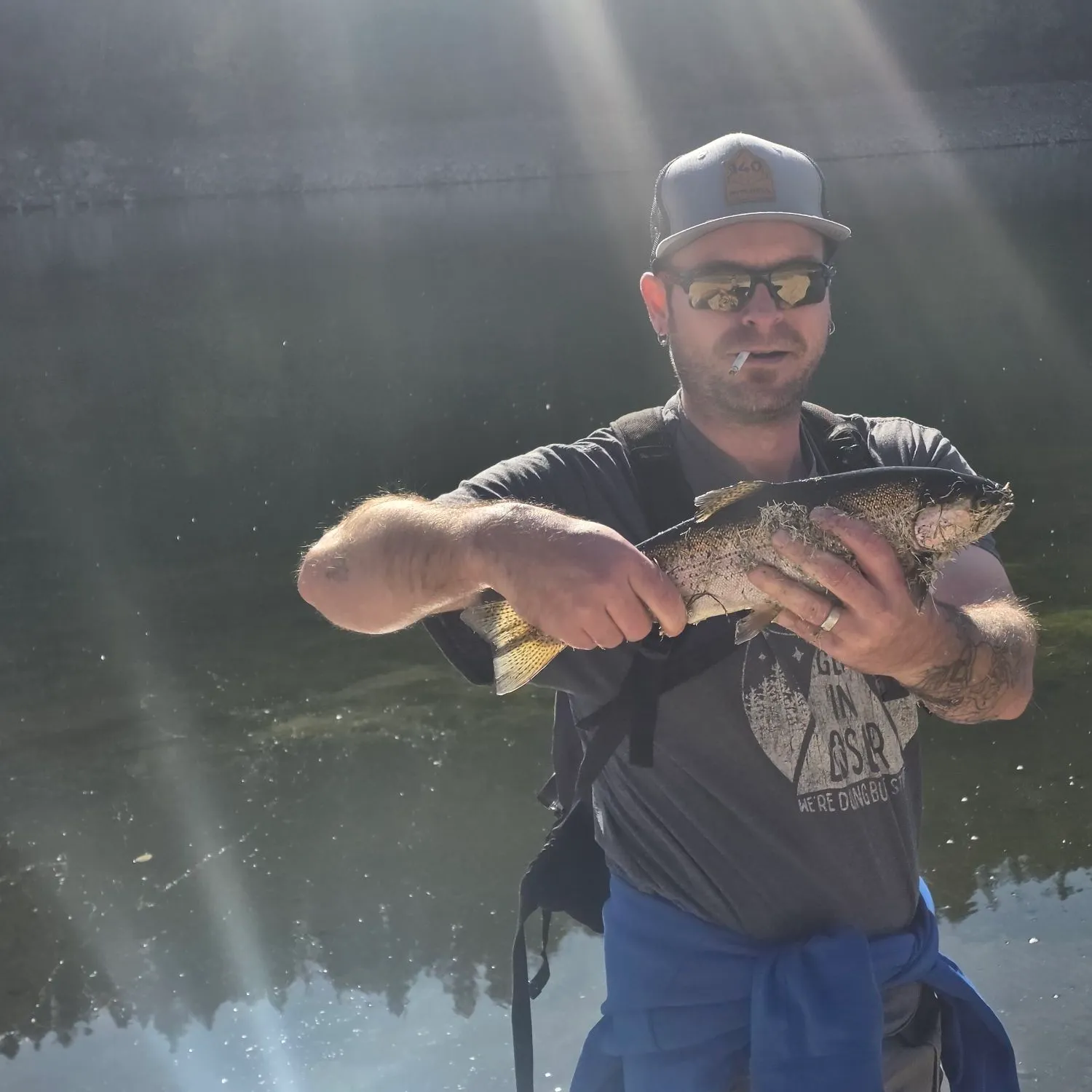 Rainbow trout caught on Fishbrain
