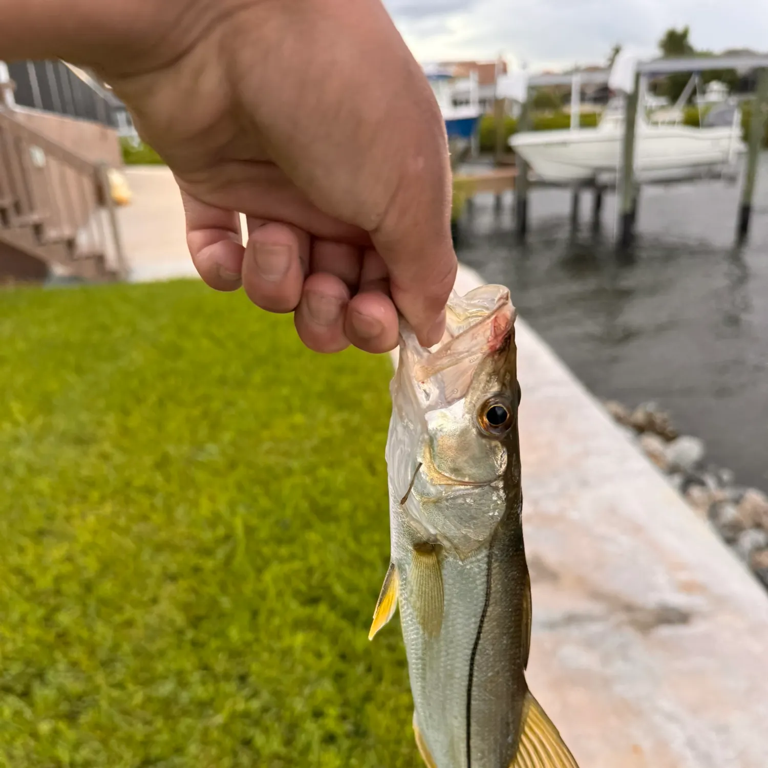 catch