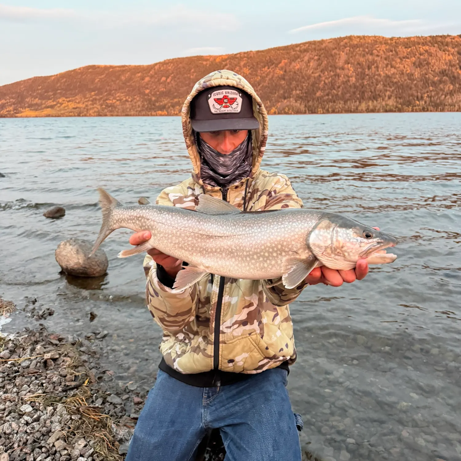 Lake char caught on Fishbrain