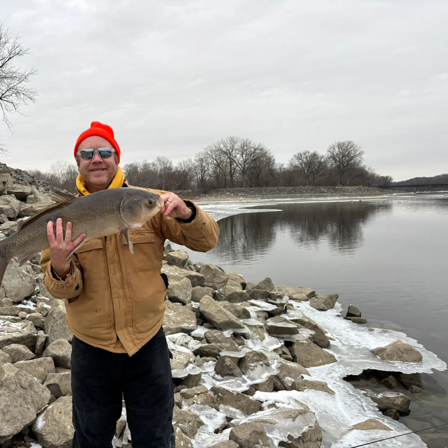 The most recent Bigmouth buffalo catches on Fishbrain