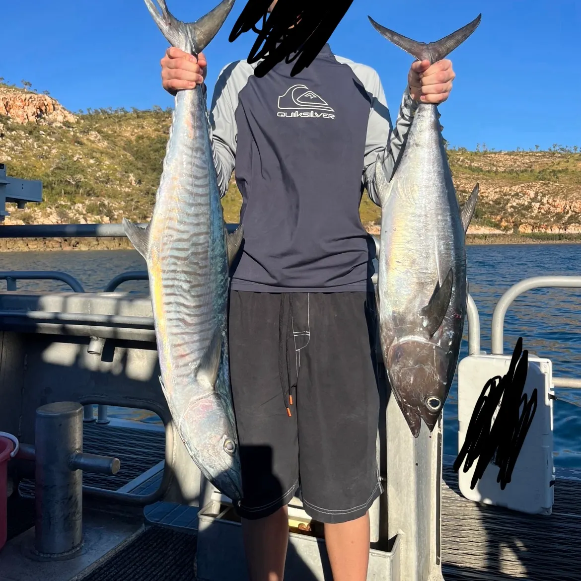 Narrow-barred Spanish mackerel caught on Fishbrain