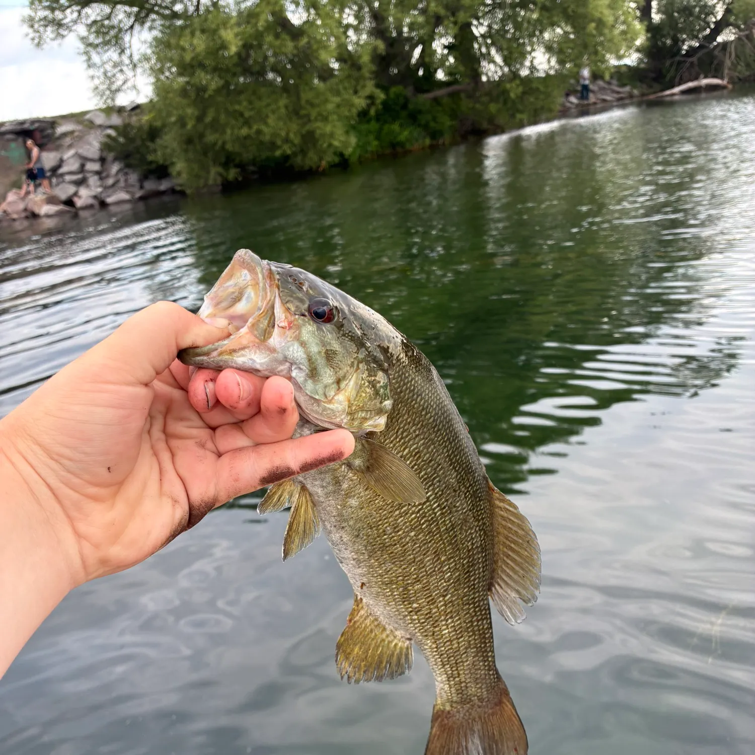 catch