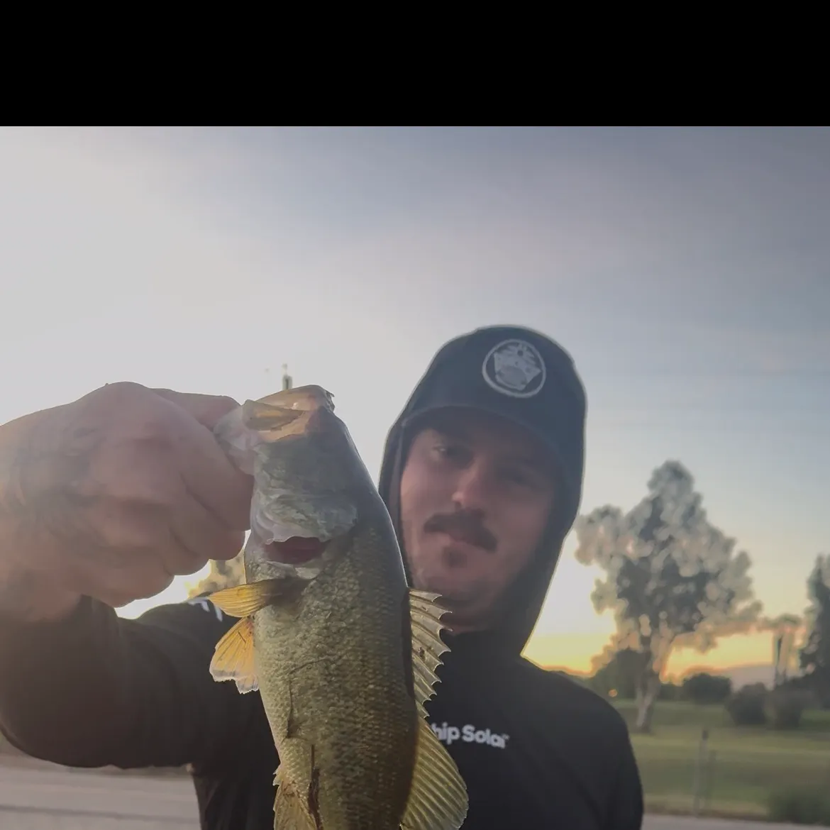 Largemouth bass caught on Fishbrain