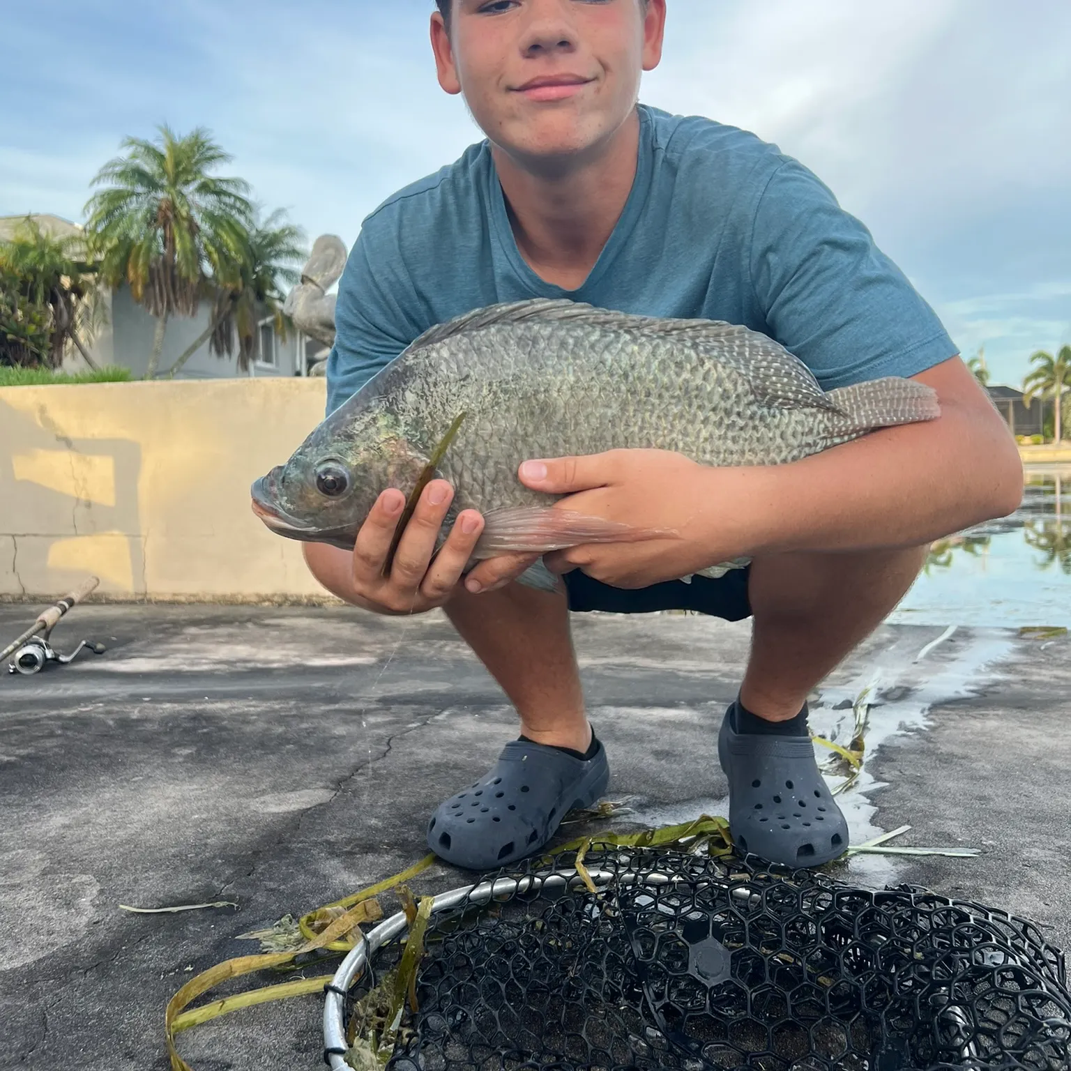 The most recent Nile tilapia catches on Fishbrain
