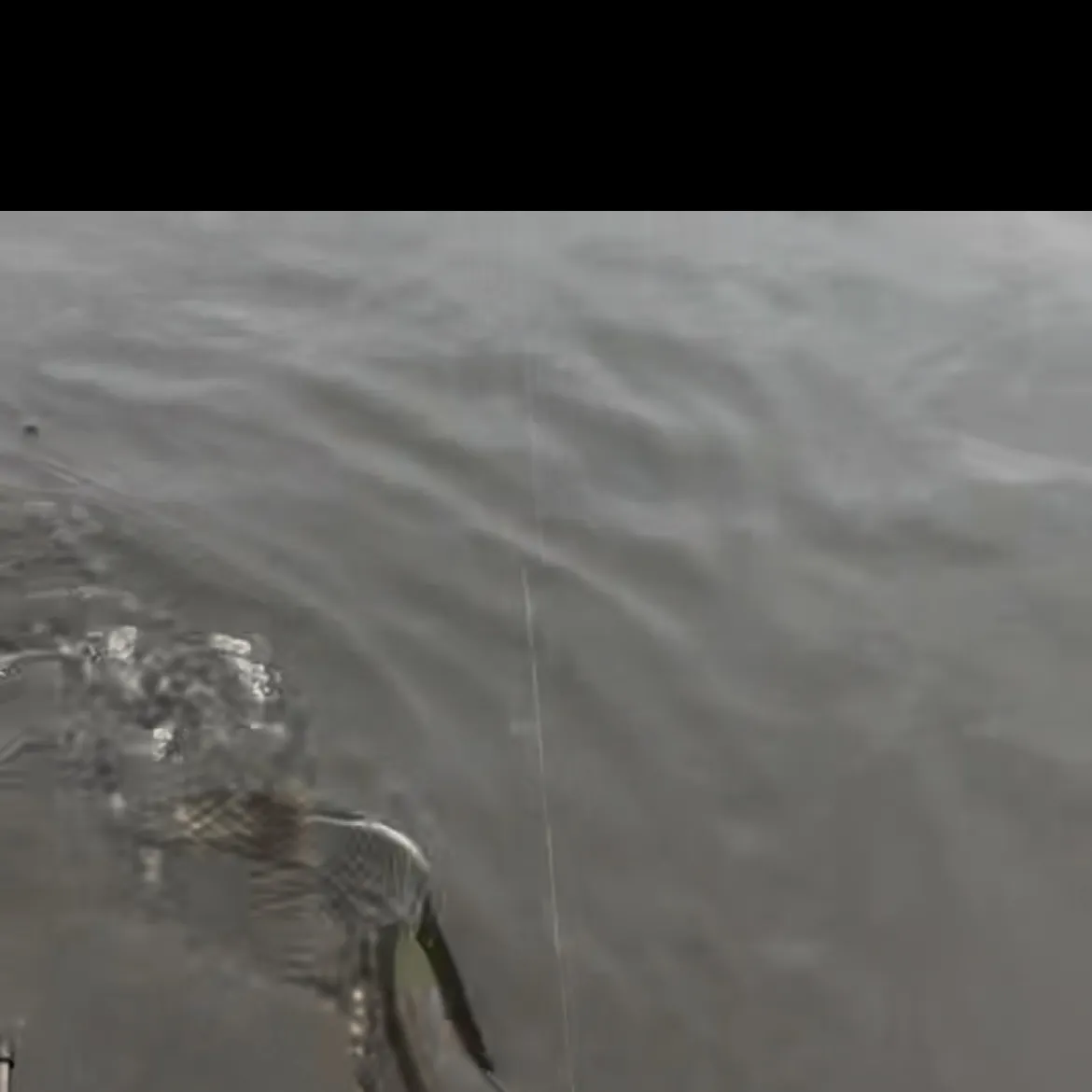 Northern pike caught on Fishbrain
