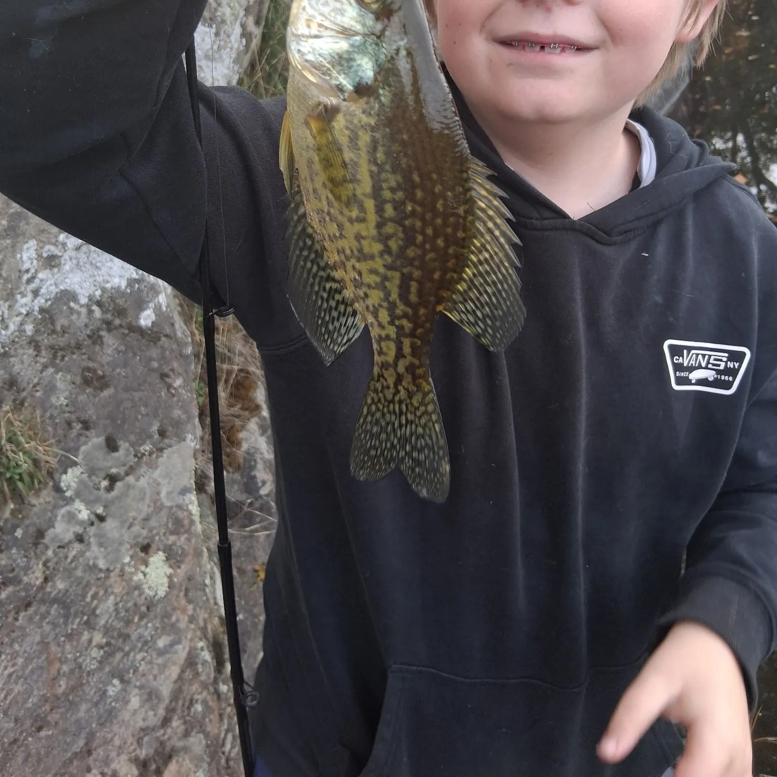 Black crappie caught on Fishbrain