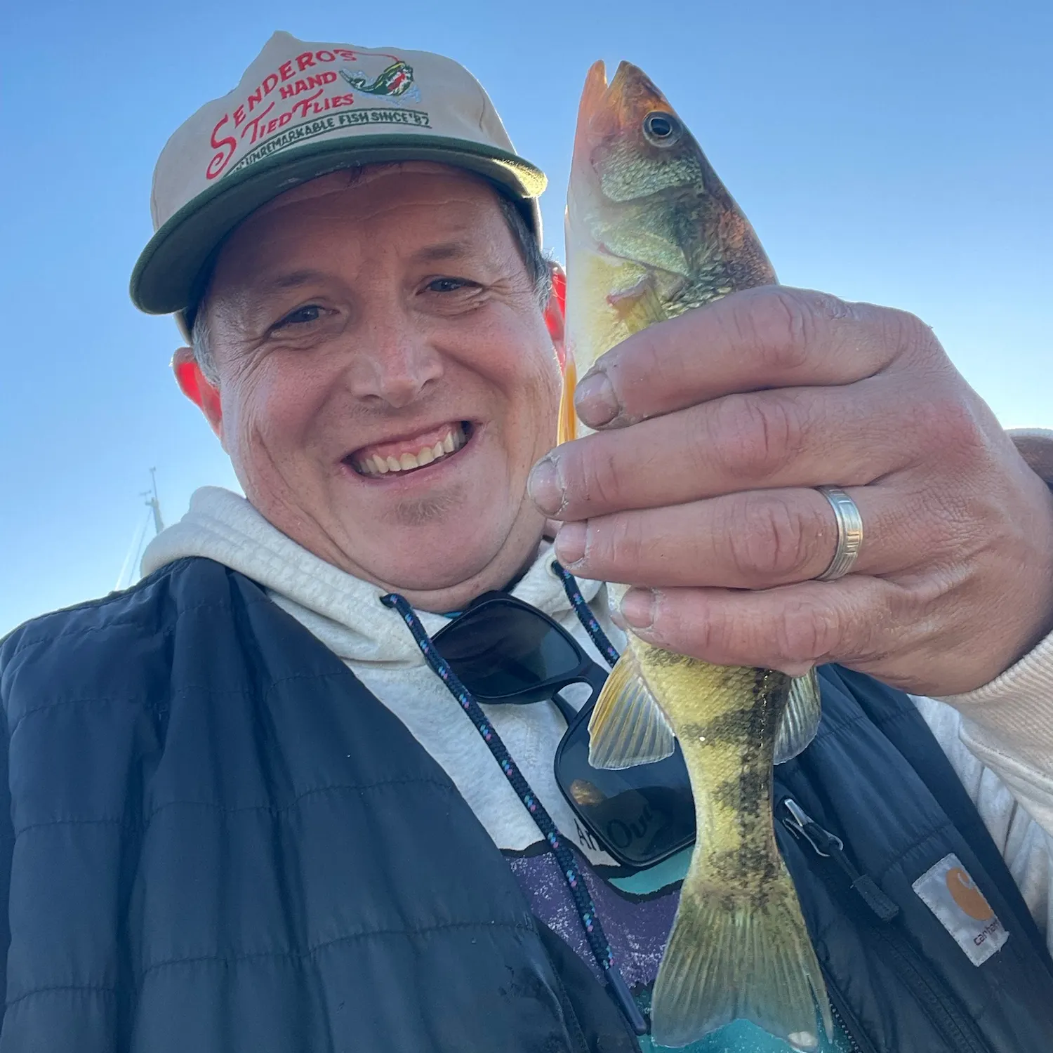 Yellow perch caught on Fishbrain