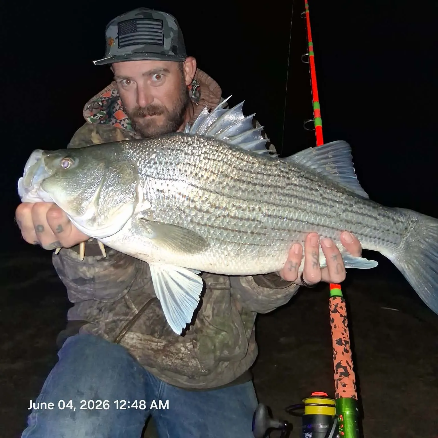 recently logged catches