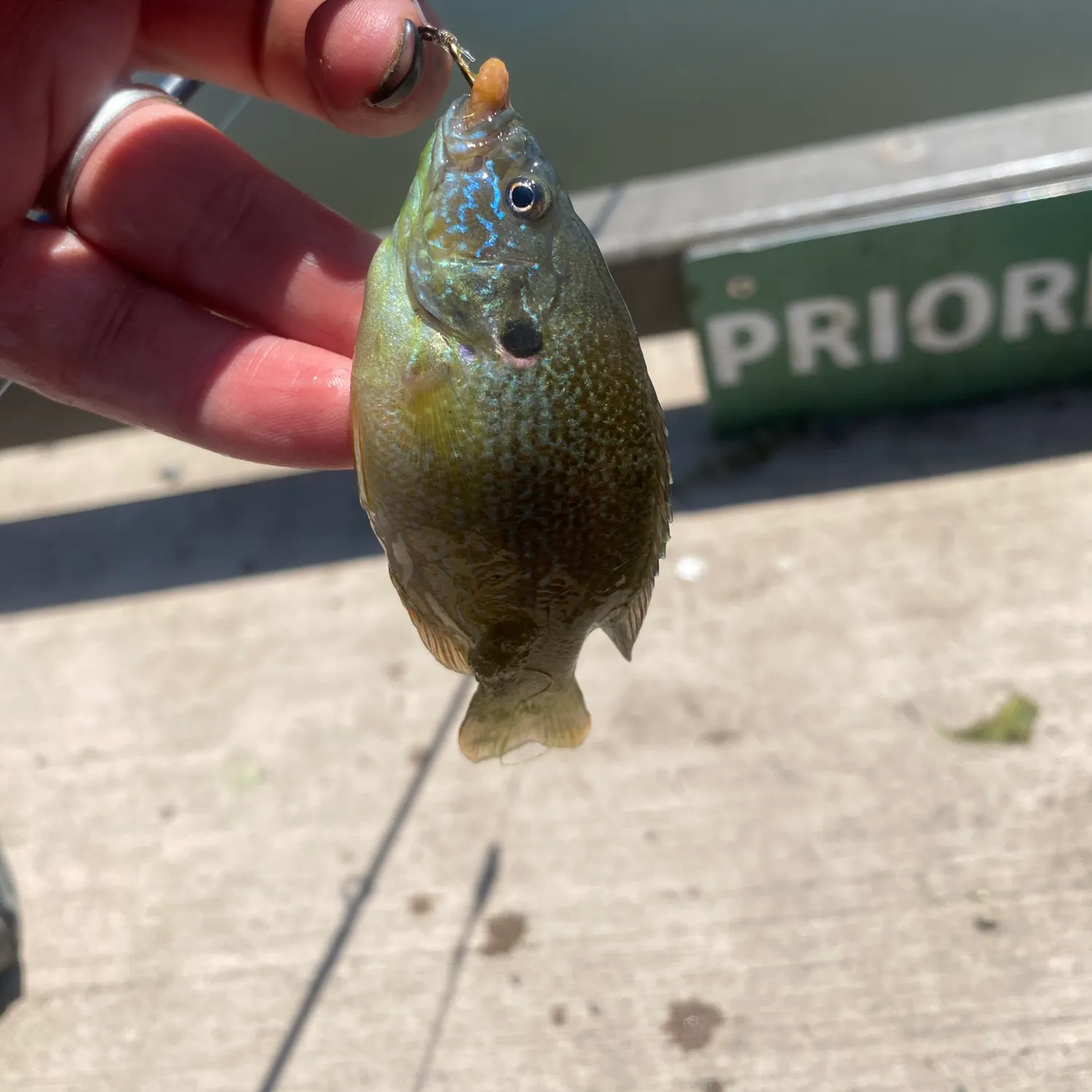 catch