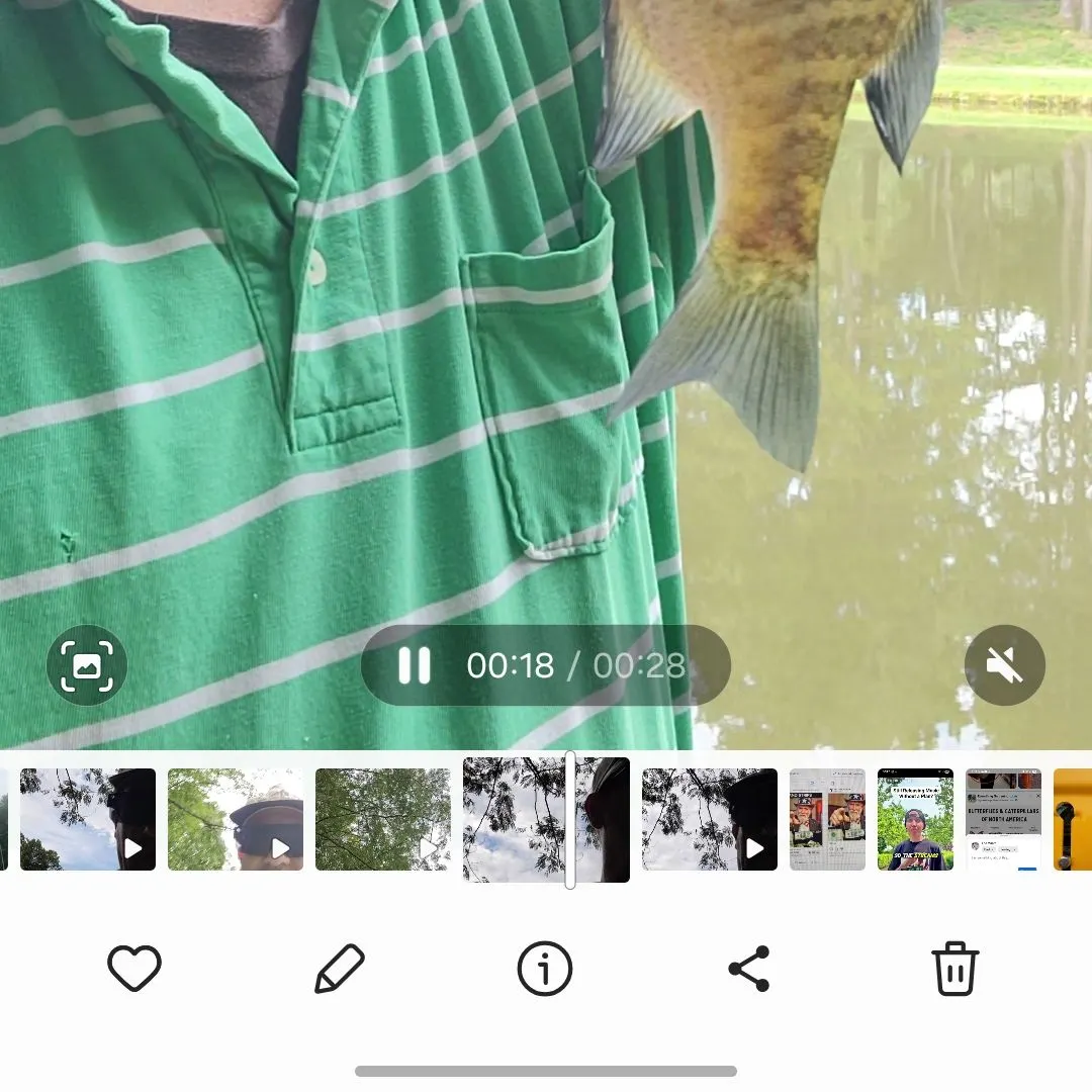 recently logged catches