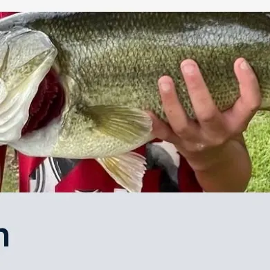 Fish caught on Fishbrain