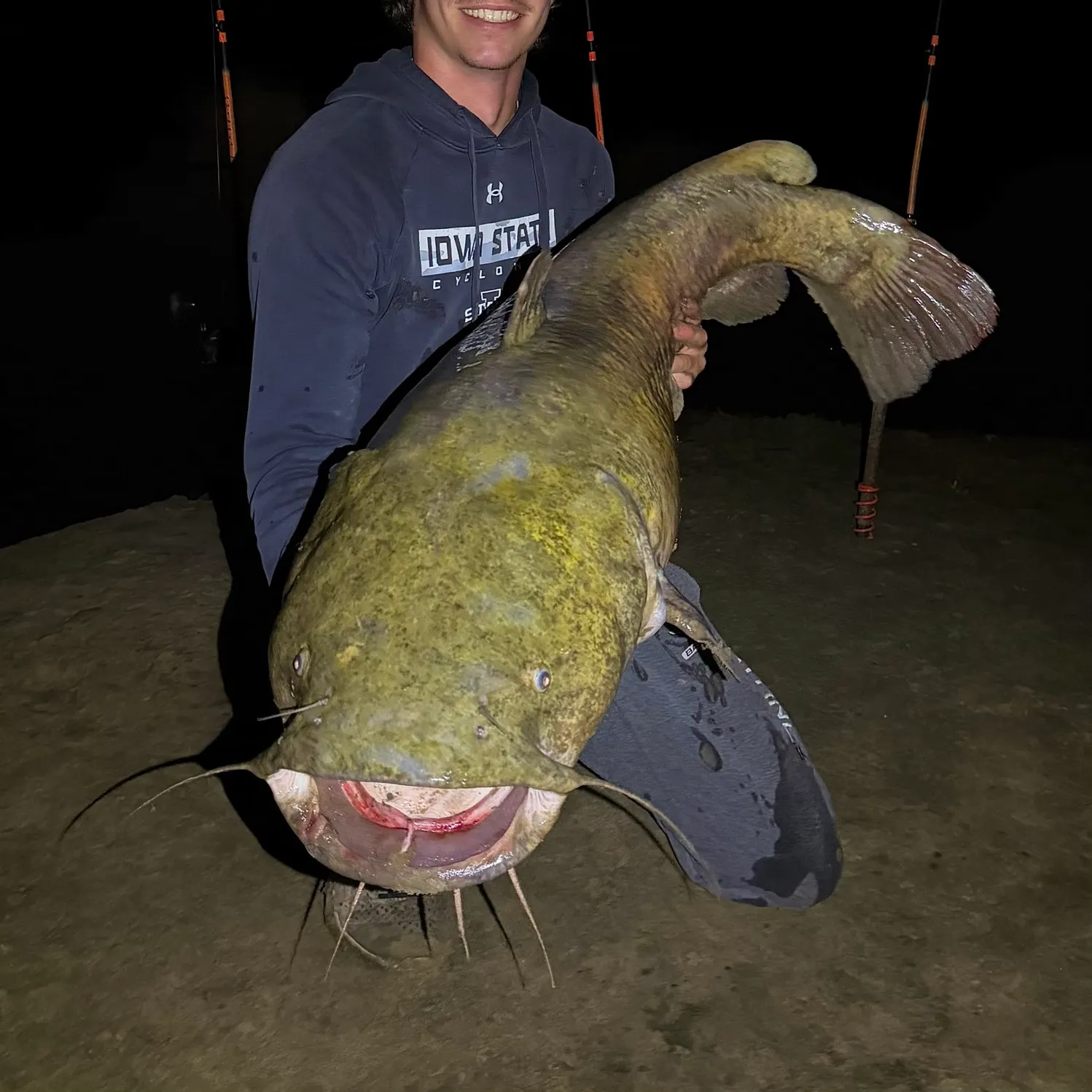 Flathead catfish caught on Fishbrain