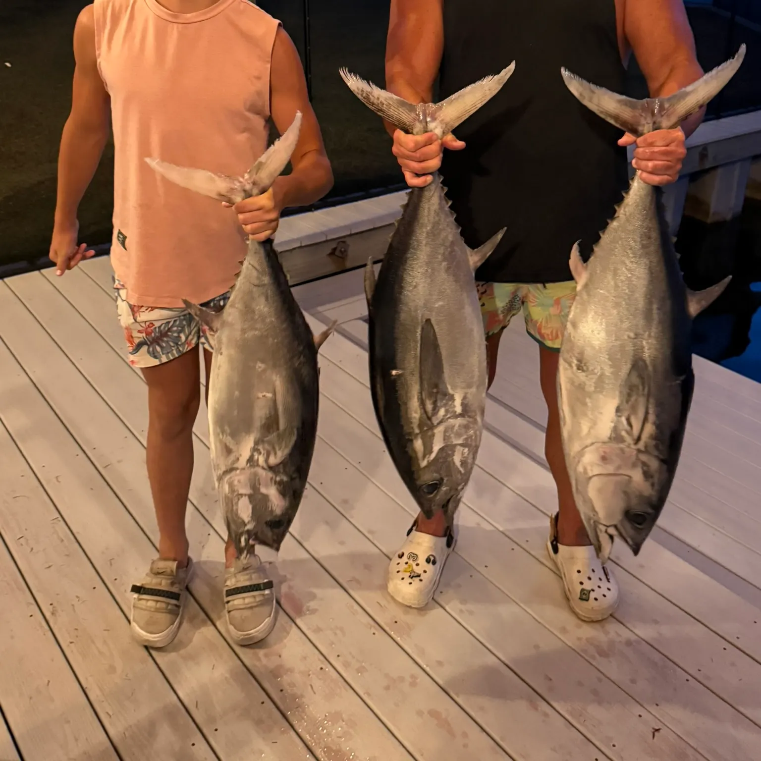 The most recent Blackfin tuna catches on Fishbrain