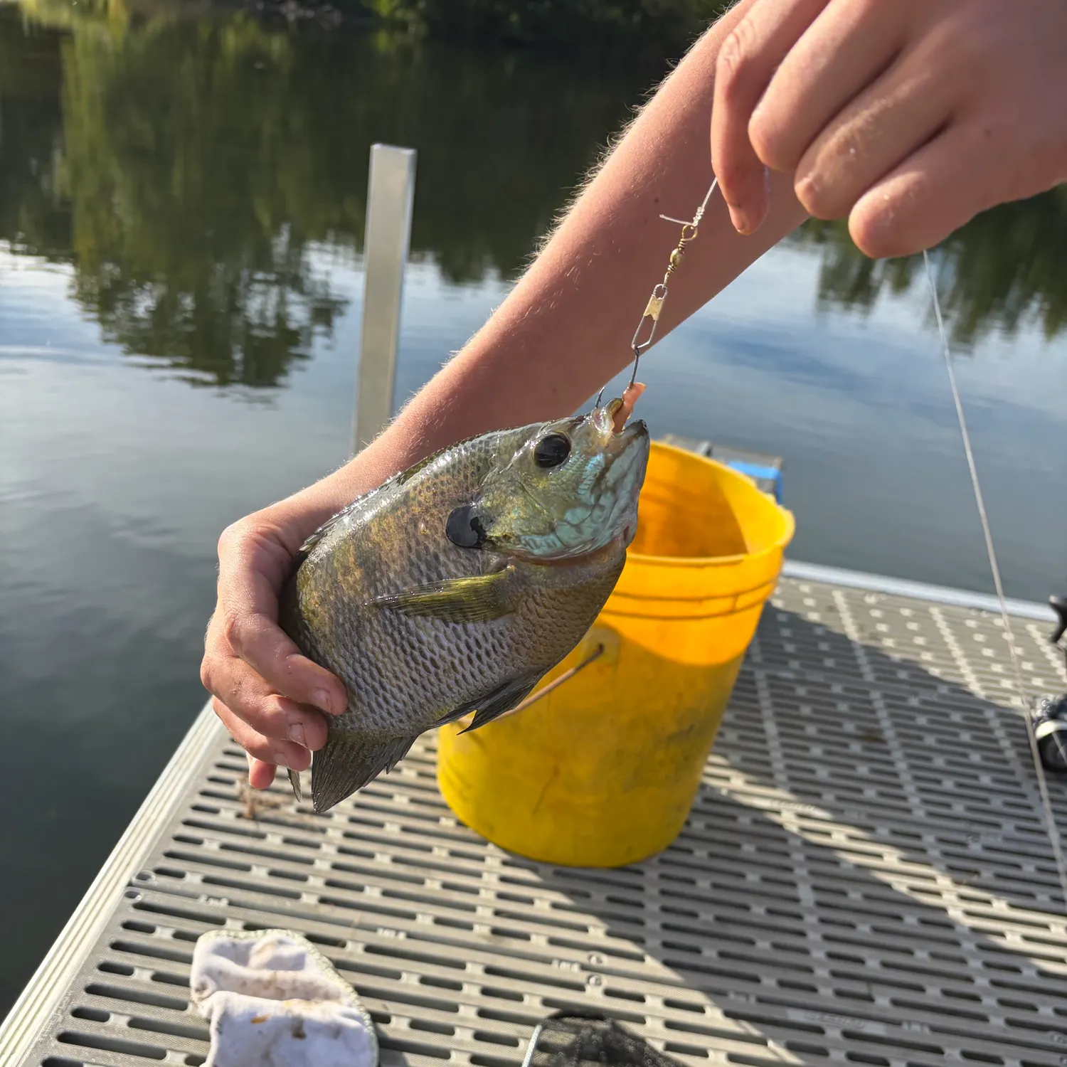 catch