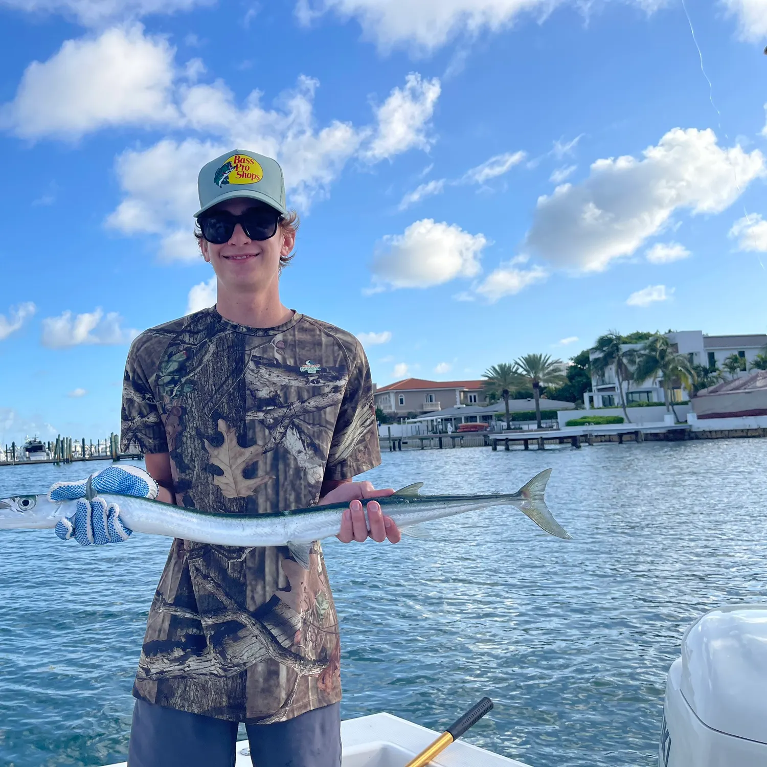 The most recent Flat needlefish catches on Fishbrain