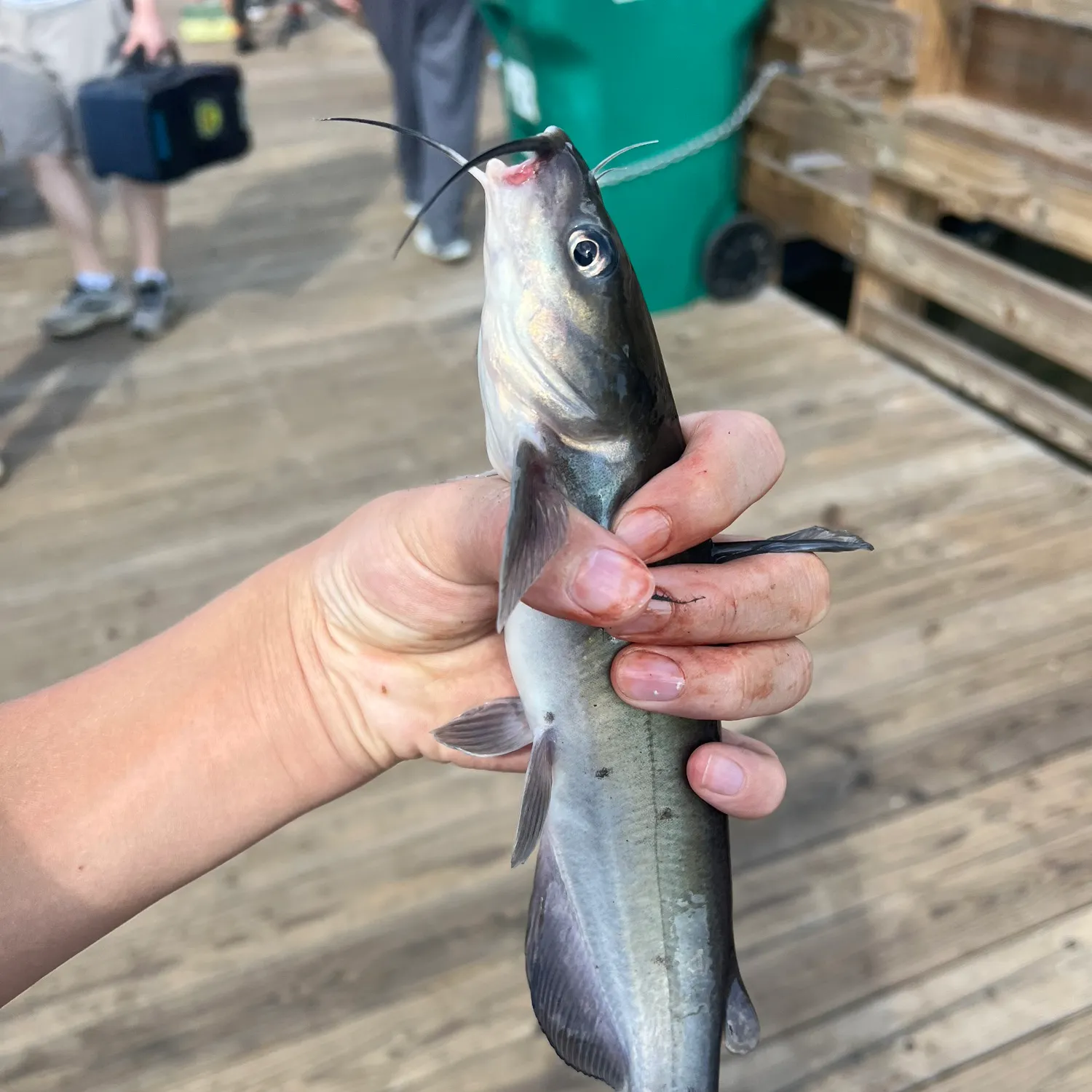 catch