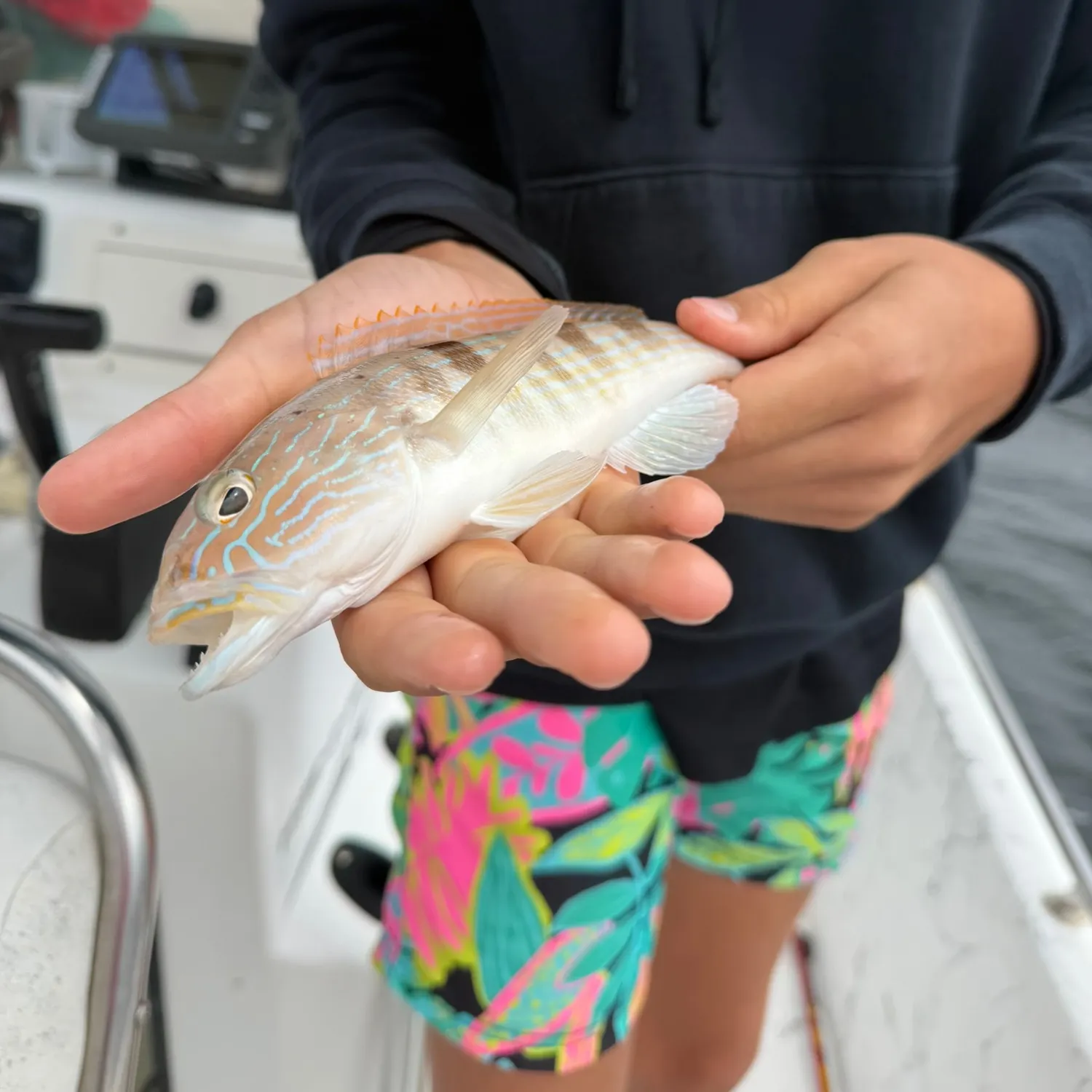 Sand perch caught on Fishbrain