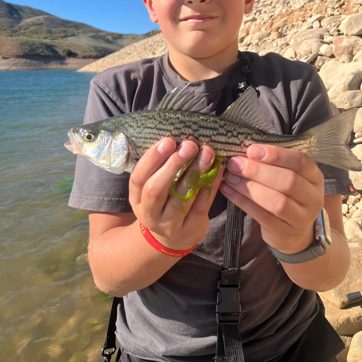Fish caught on Fishbrain