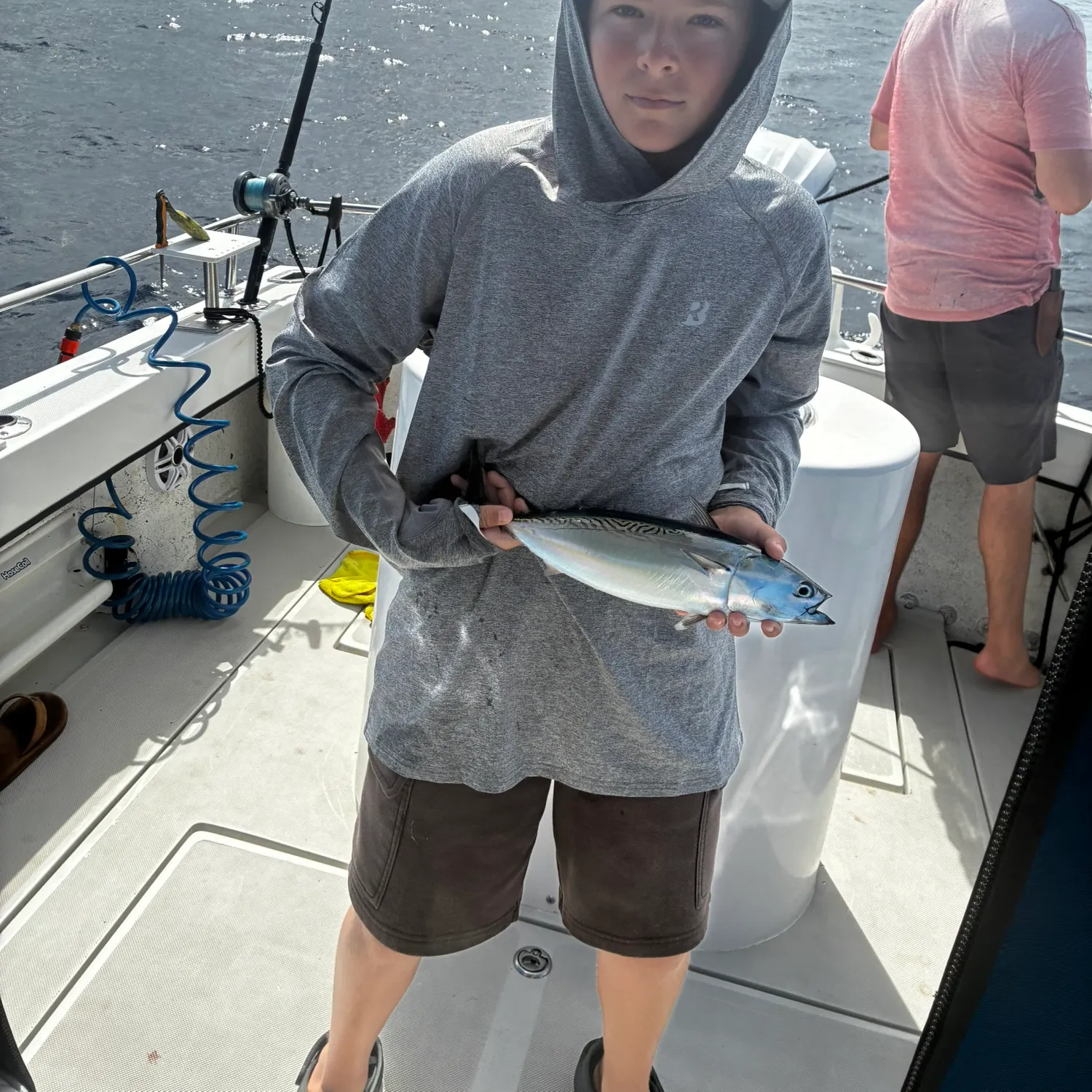 Bullet tuna caught on Fishbrain