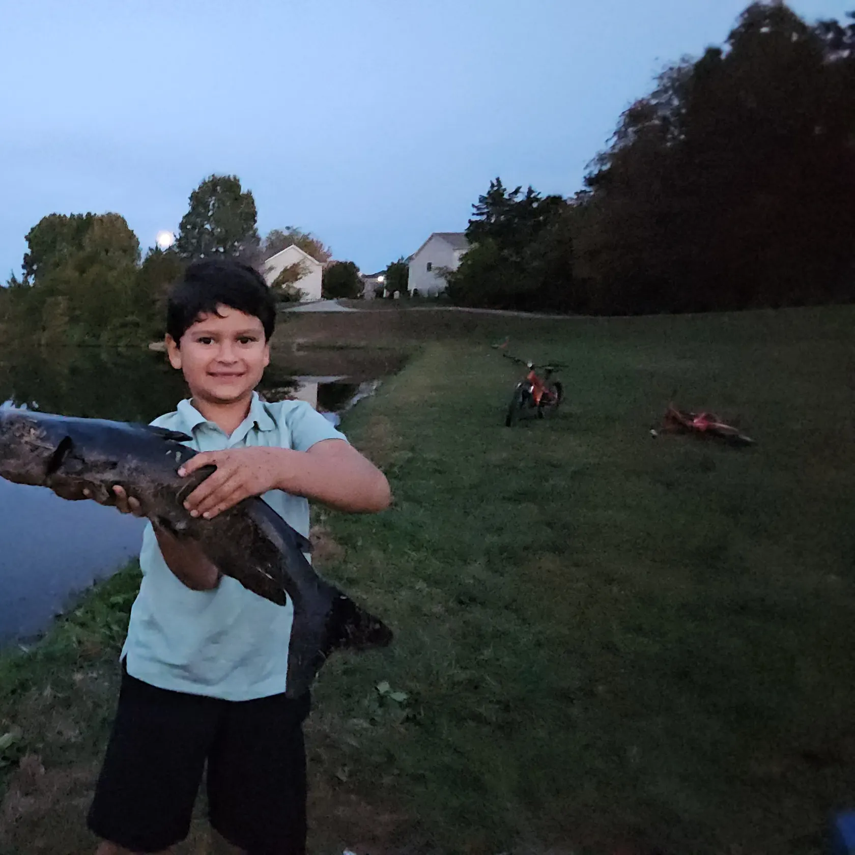 Channel catfish caught on Fishbrain