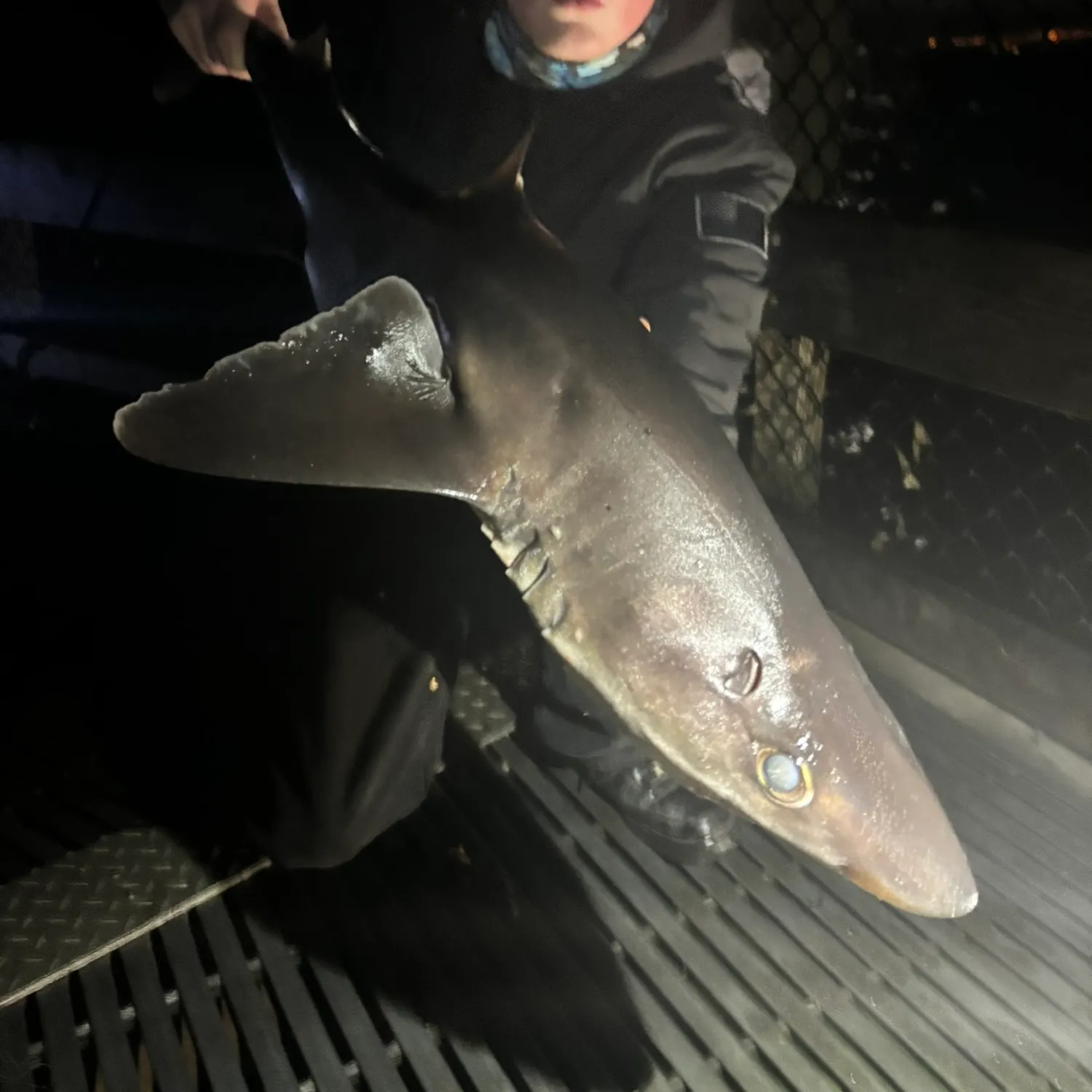 The most recent Pacific spiny dogfish catches on Fishbrain