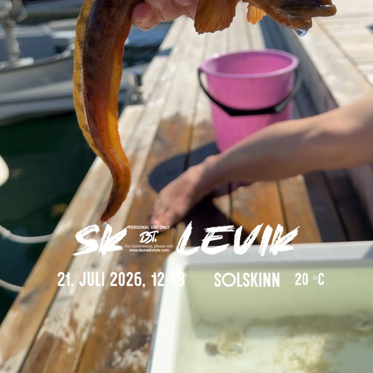 The most recent European eelpout catches on Fishbrain