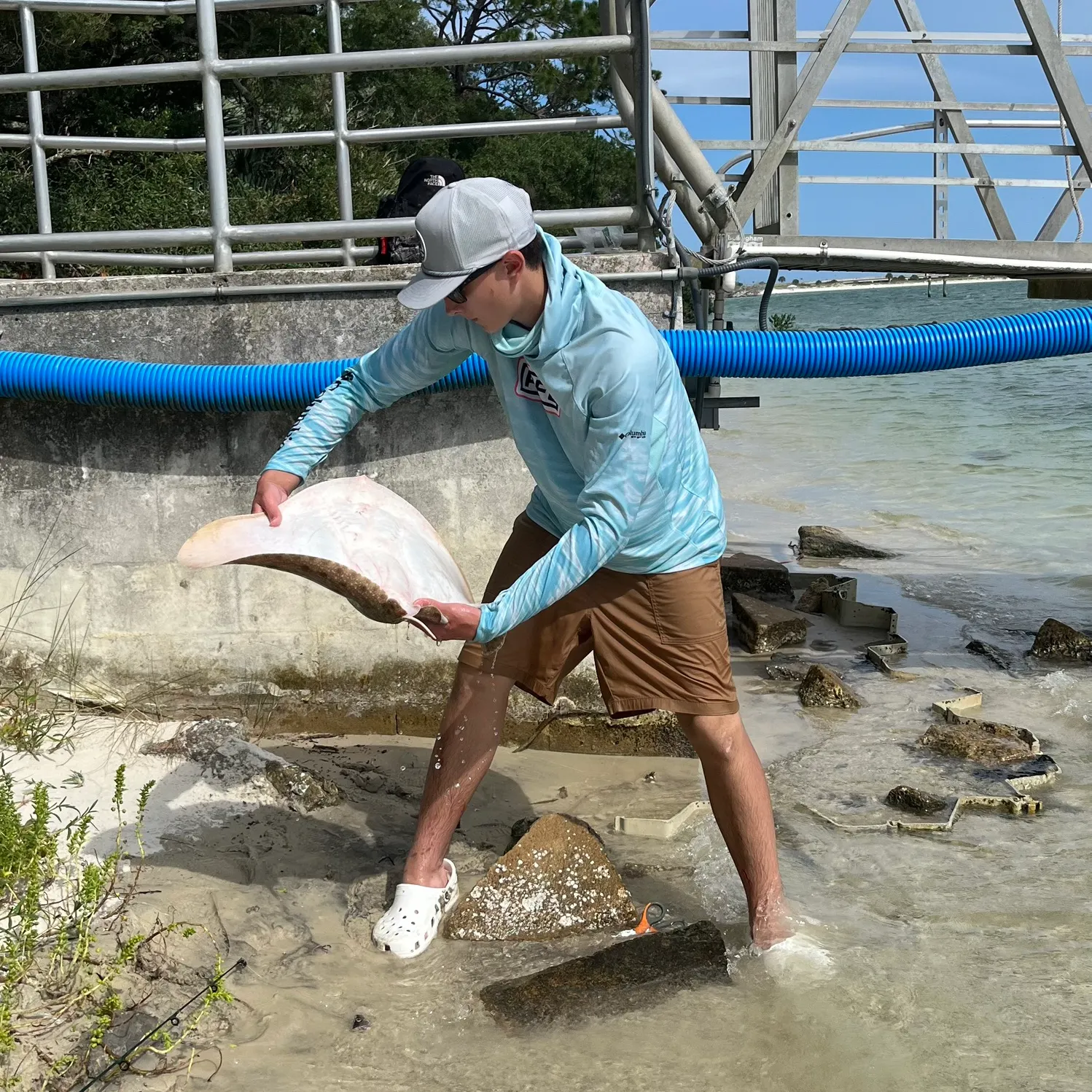 The most recent Thorntail stingray catches on Fishbrain