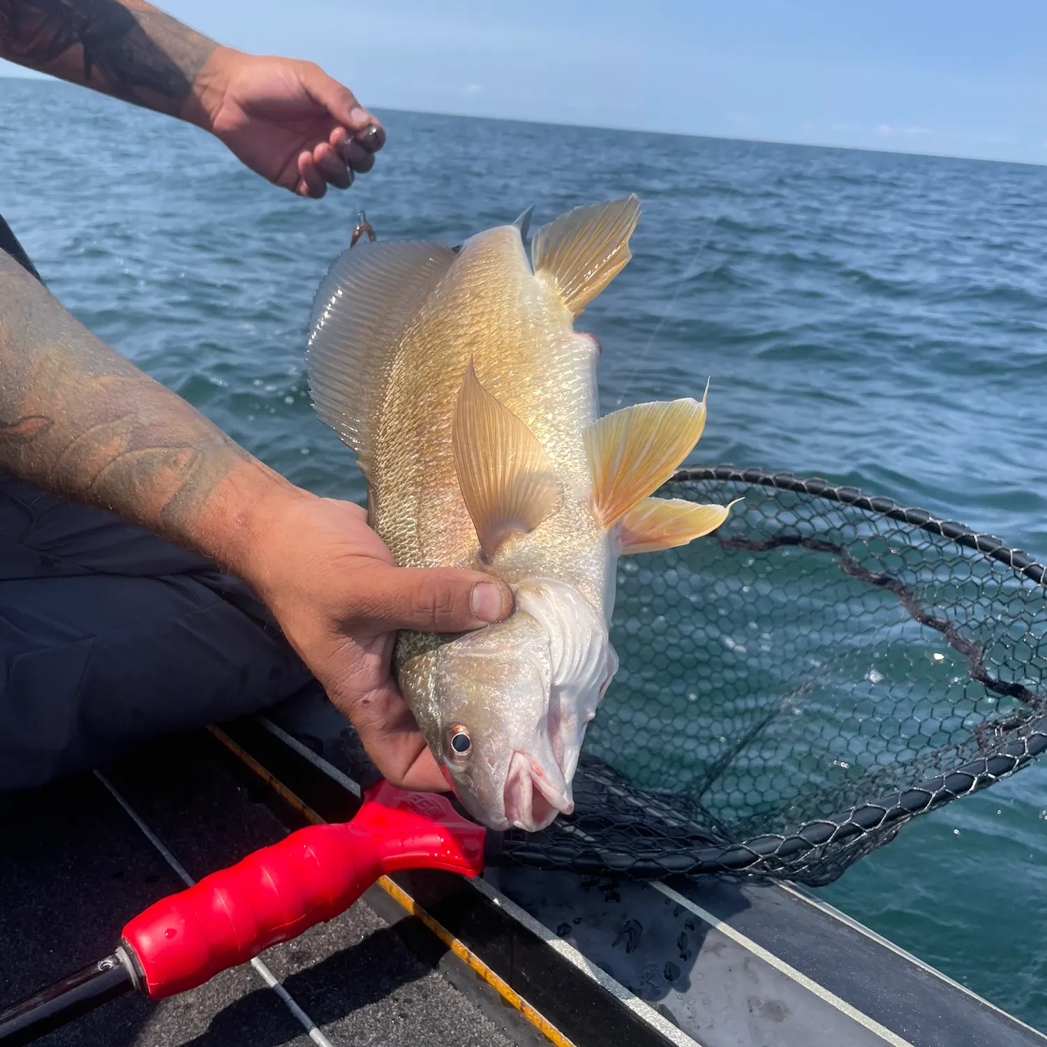 catch