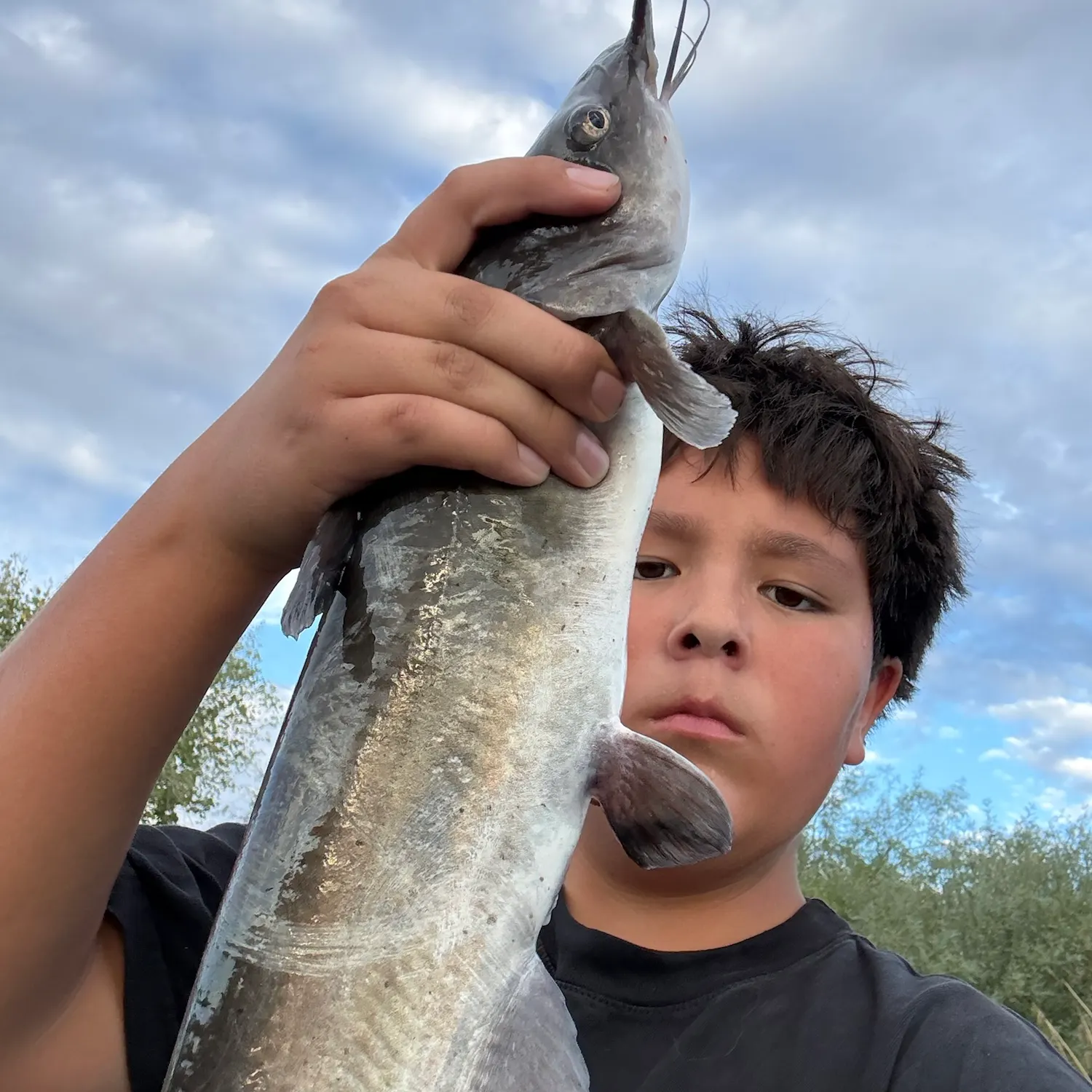 Channel catfish caught on Fishbrain