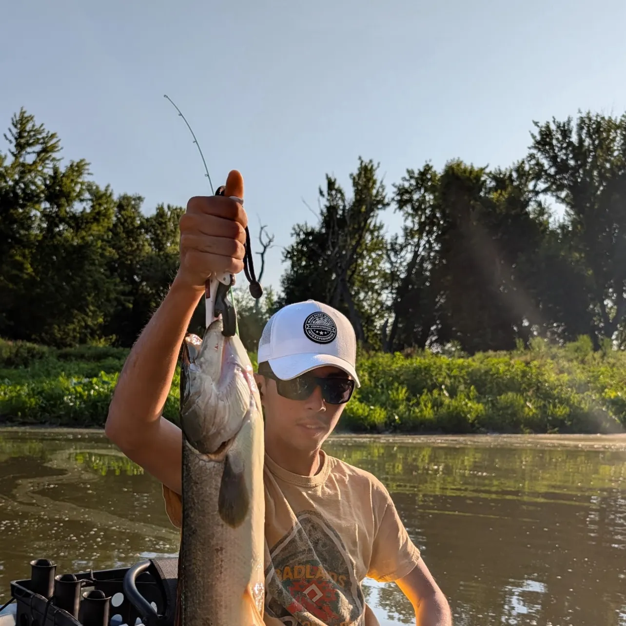 The most recent Eyetail bowfin catches on Fishbrain