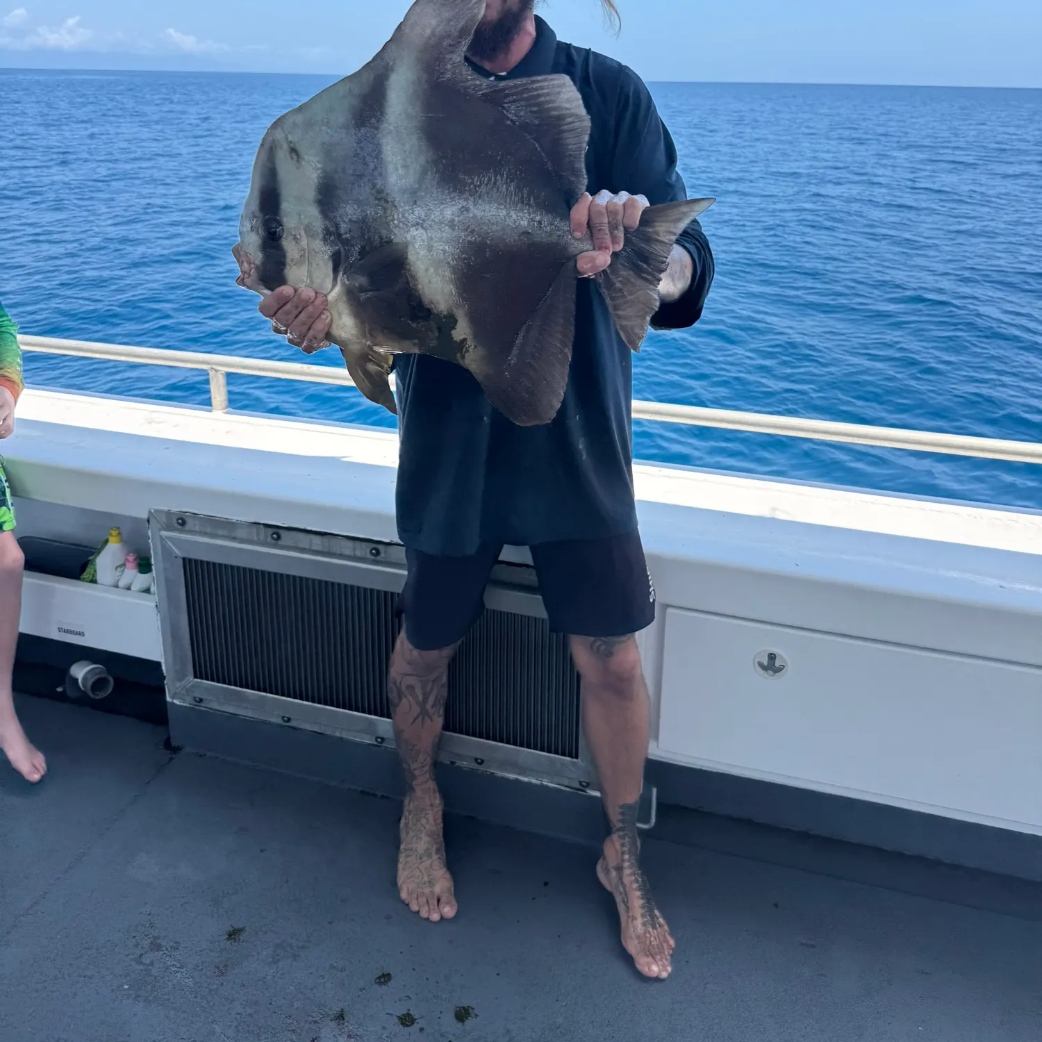 The most recent Tiera batfish catches on Fishbrain