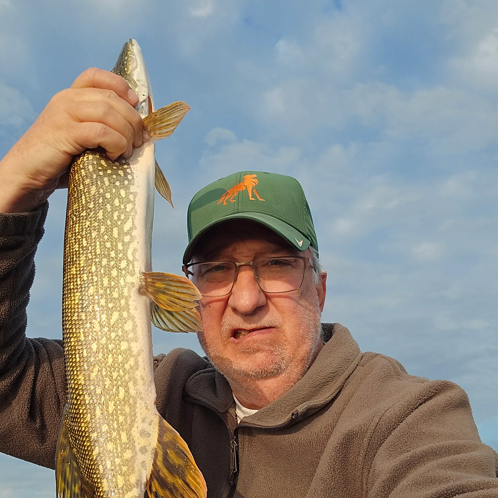 Northern pike caught on Fishbrain