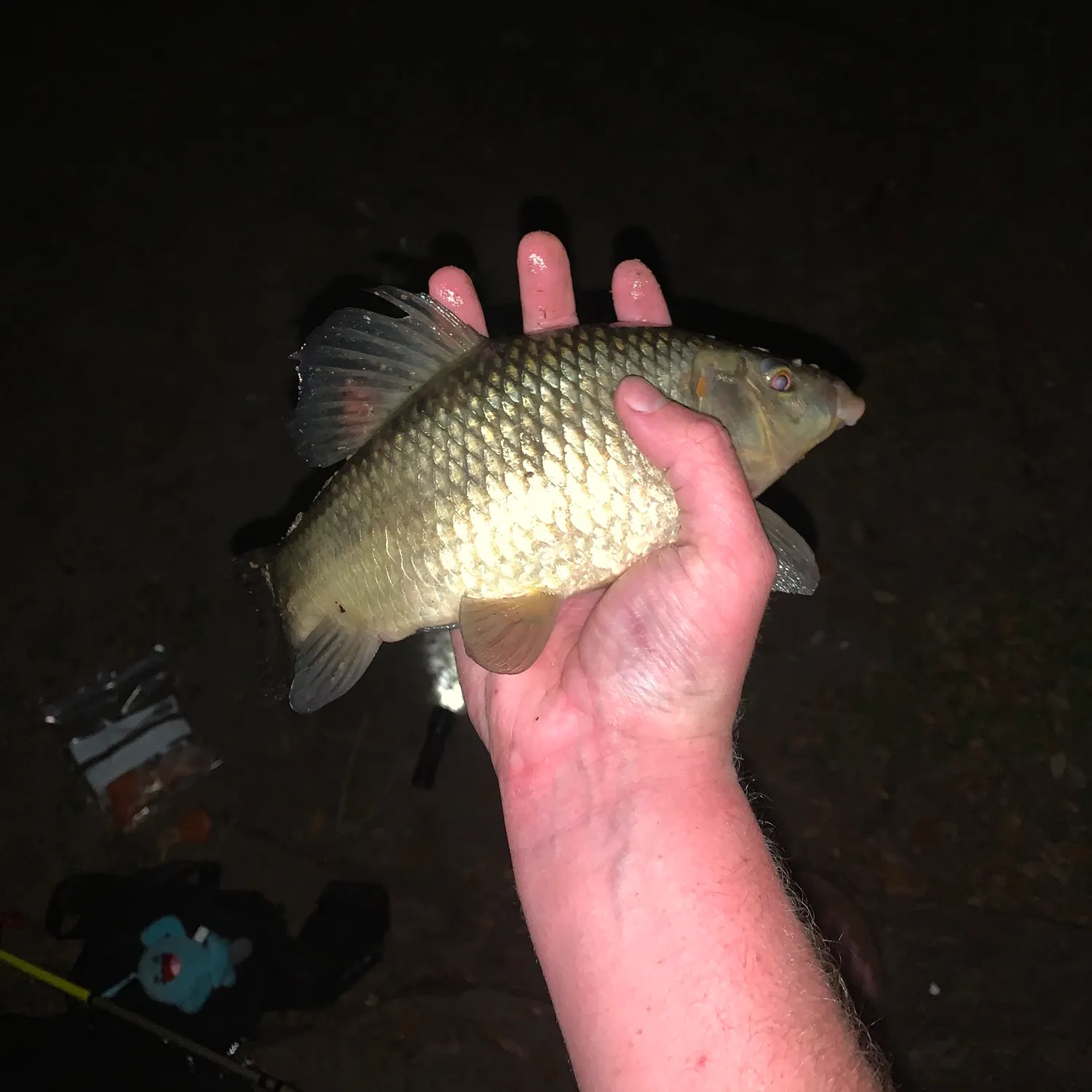 The most recent Silver redhorse catches on Fishbrain