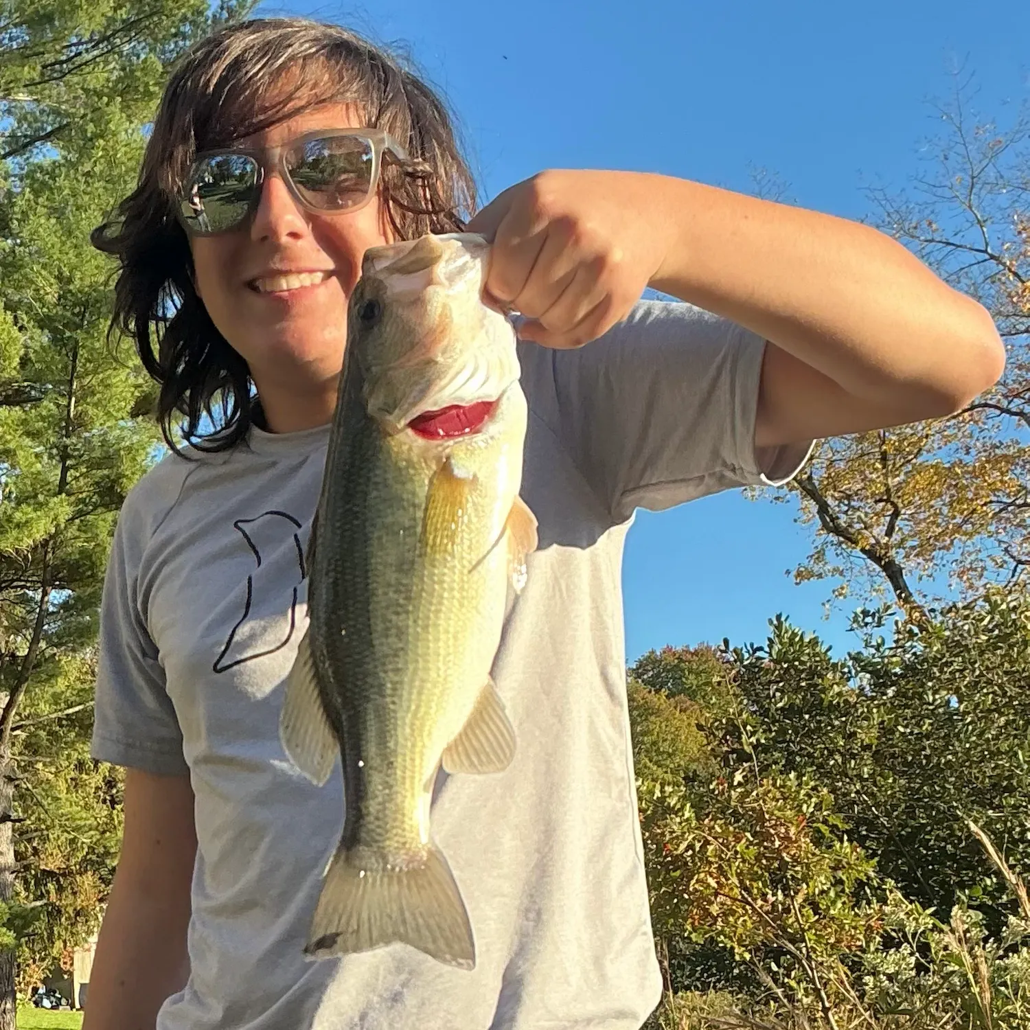 Largemouth bass caught on Fishbrain