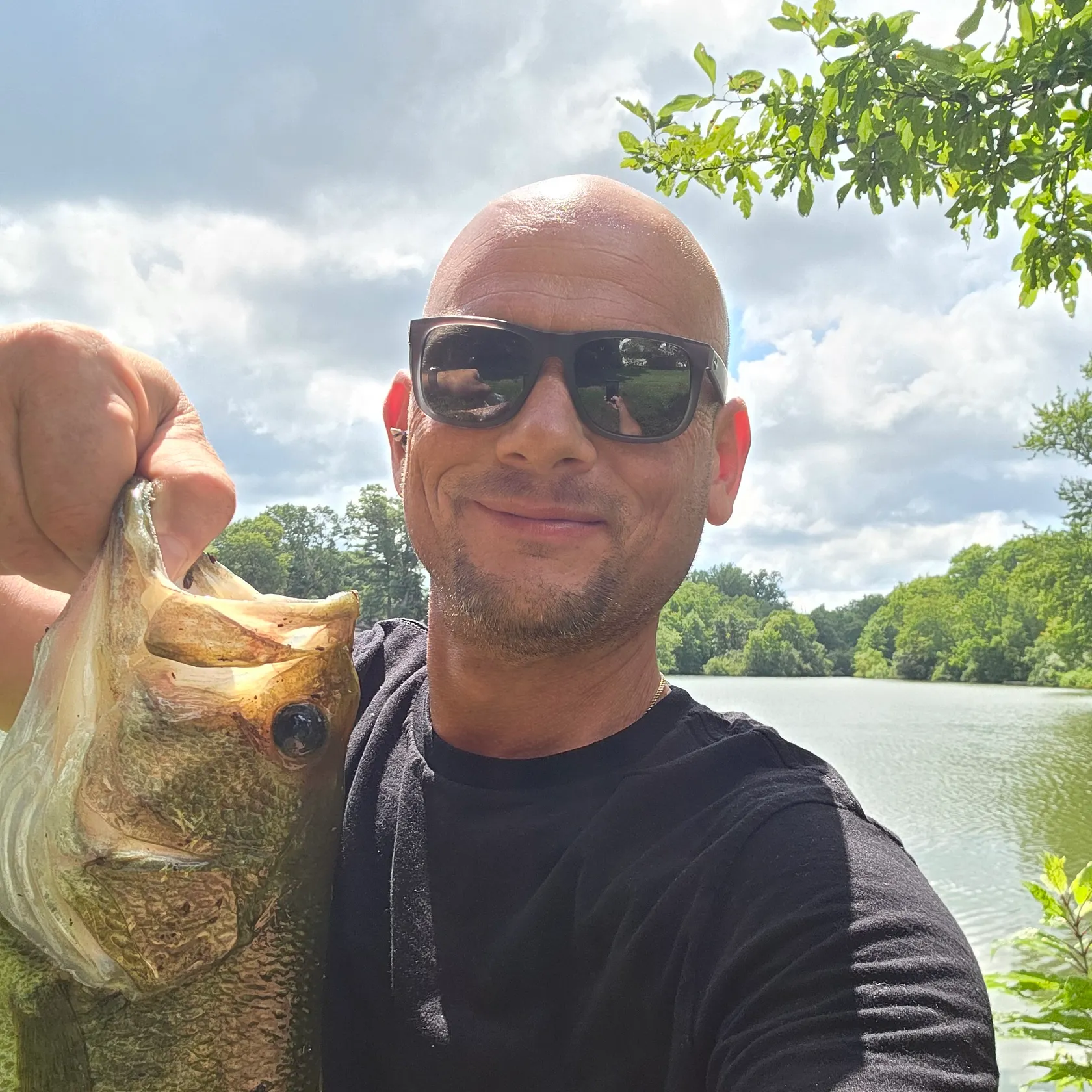 Largemouth bass caught on Fishbrain