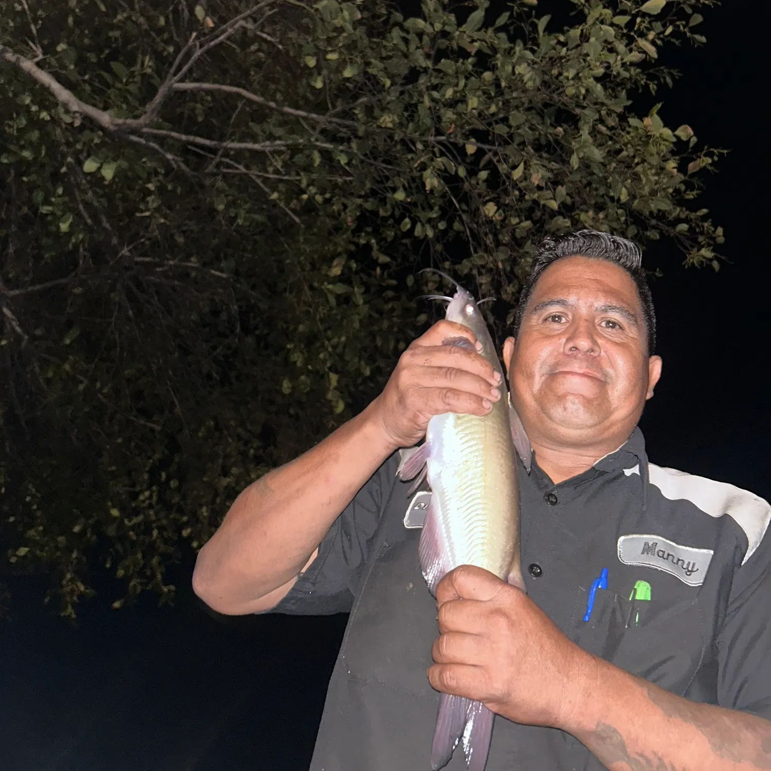 Channel catfish caught on Fishbrain