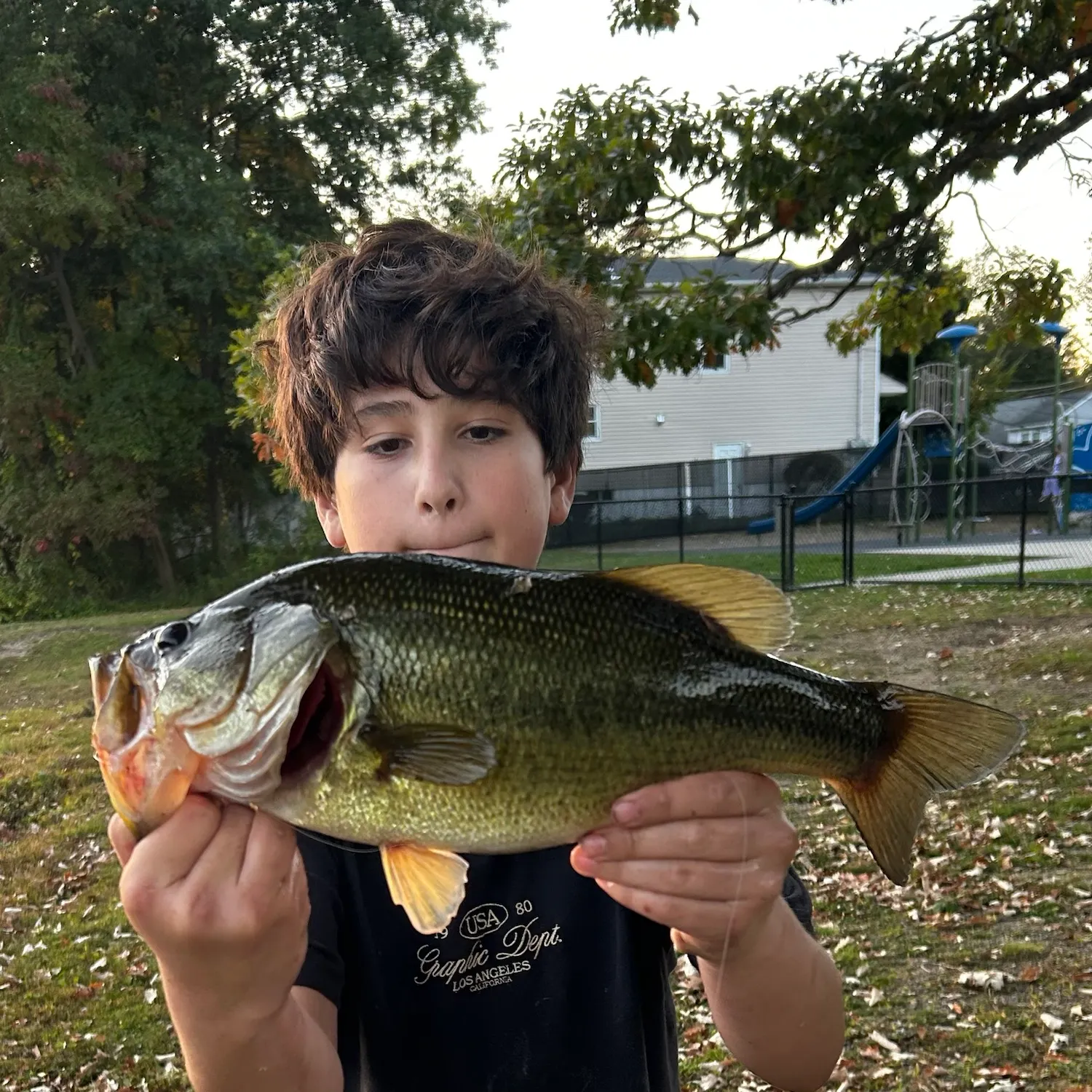 Largemouth bass caught on Fishbrain