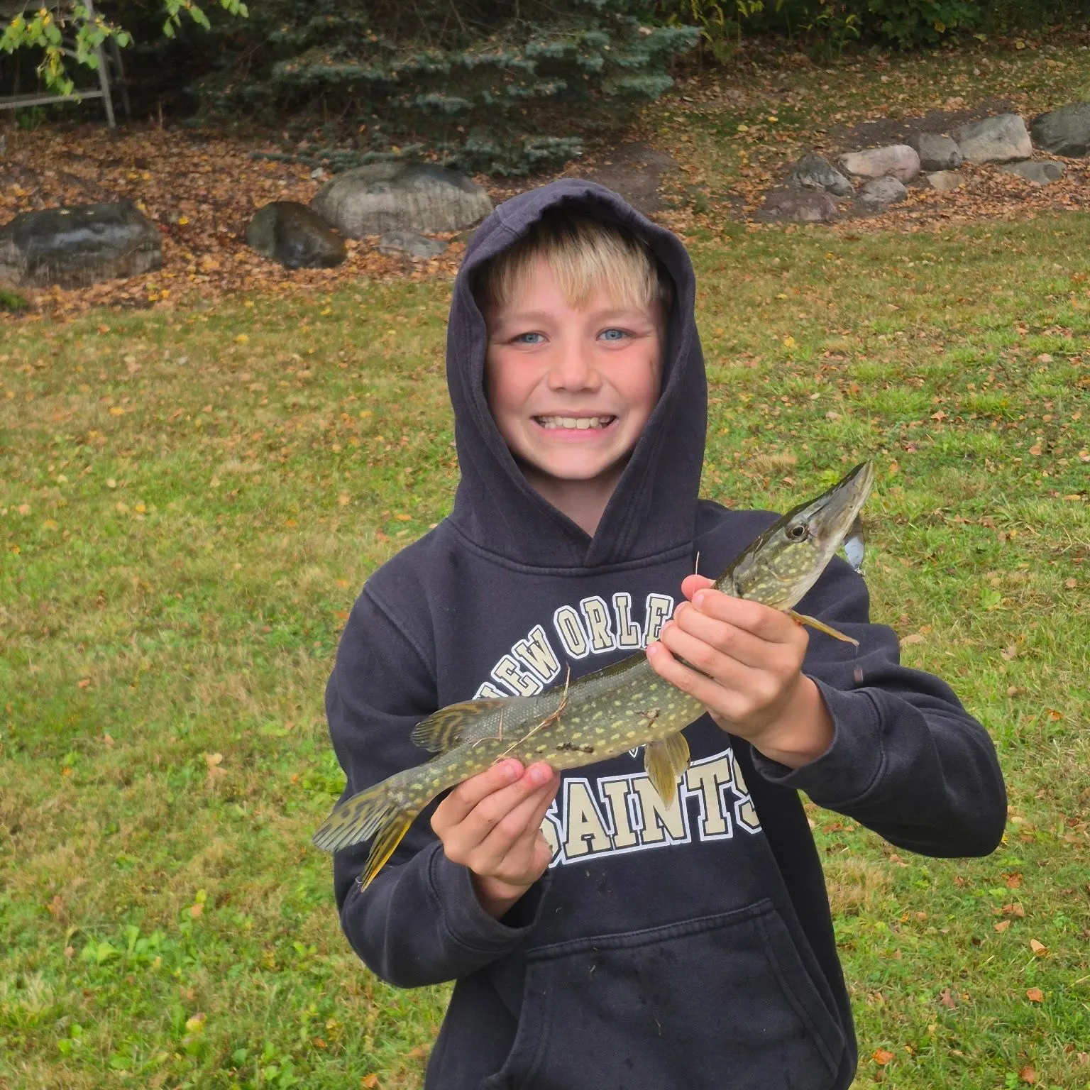 Northern pike caught on Fishbrain