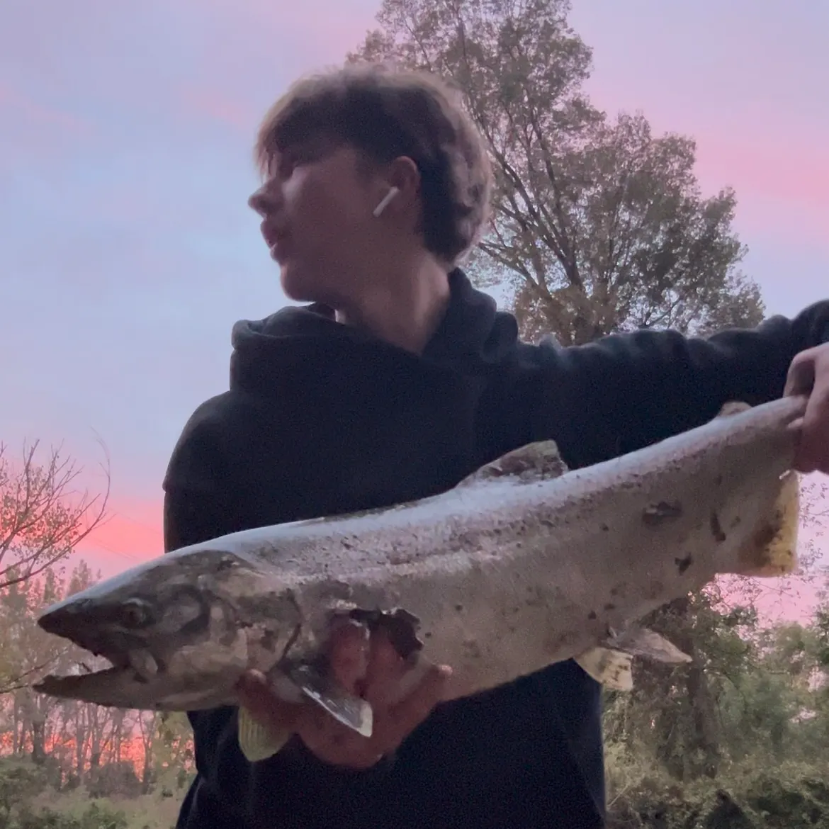 Chinook salmon caught on Fishbrain