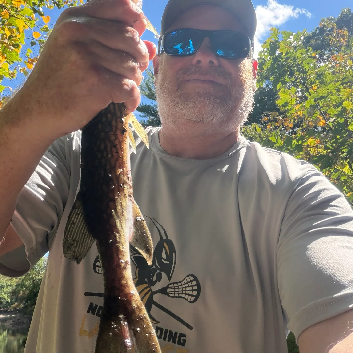 The most recent Chain pickerel catches on Fishbrain