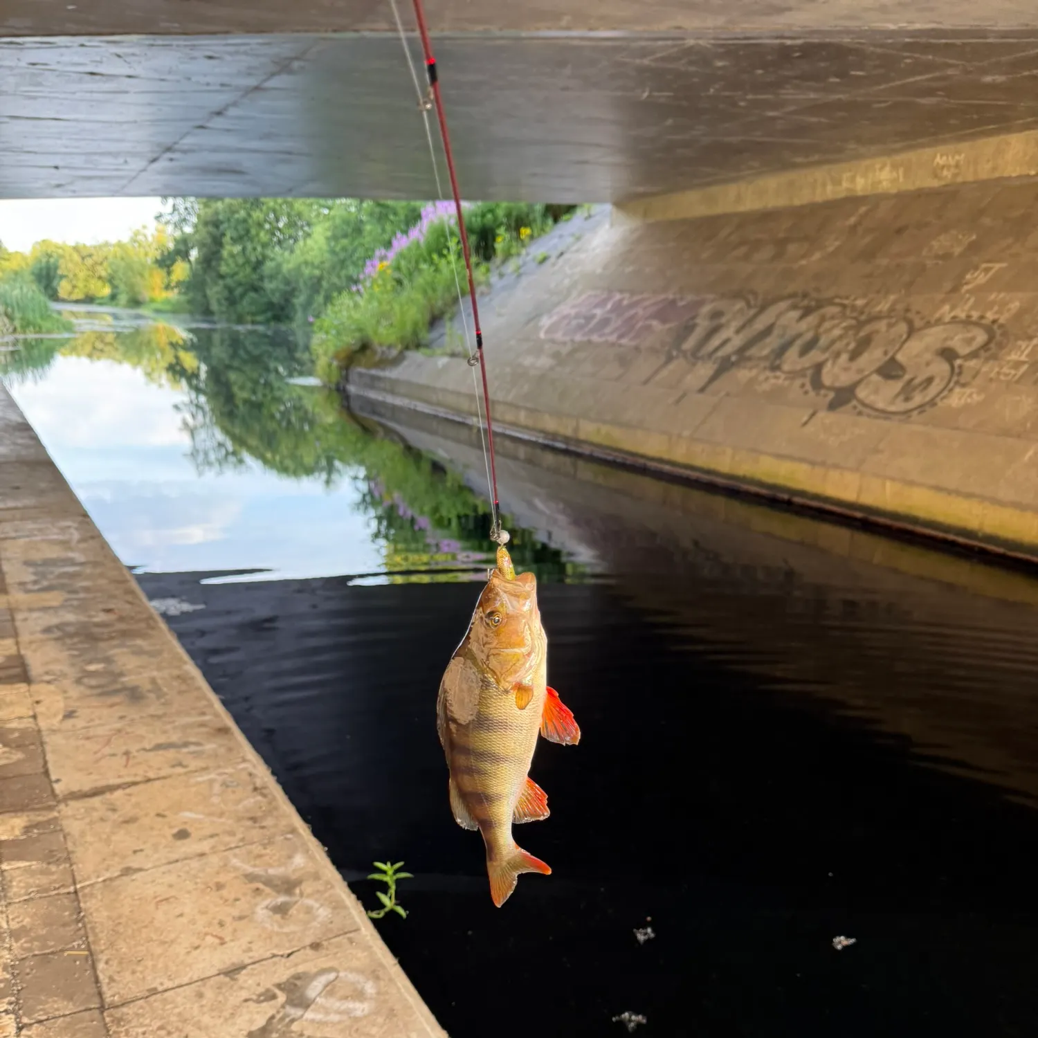 catch