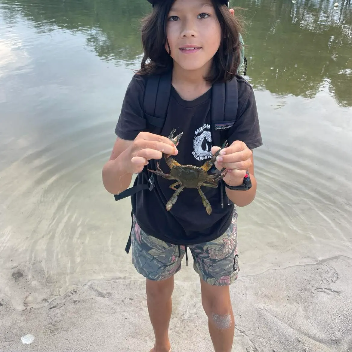 The most recent Giant mud crab catches on Fishbrain