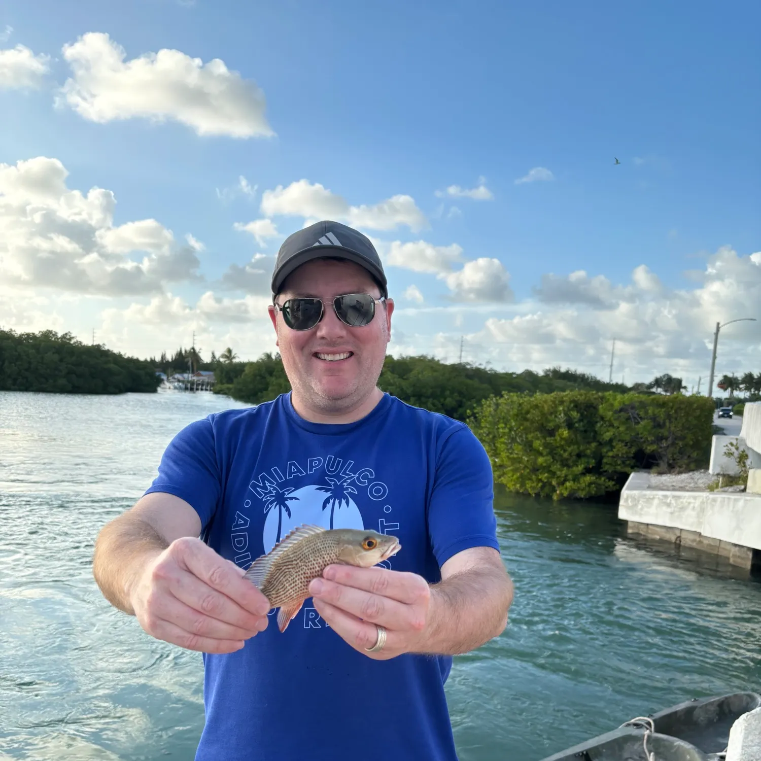The most recent Mangrove snapper catches on Fishbrain