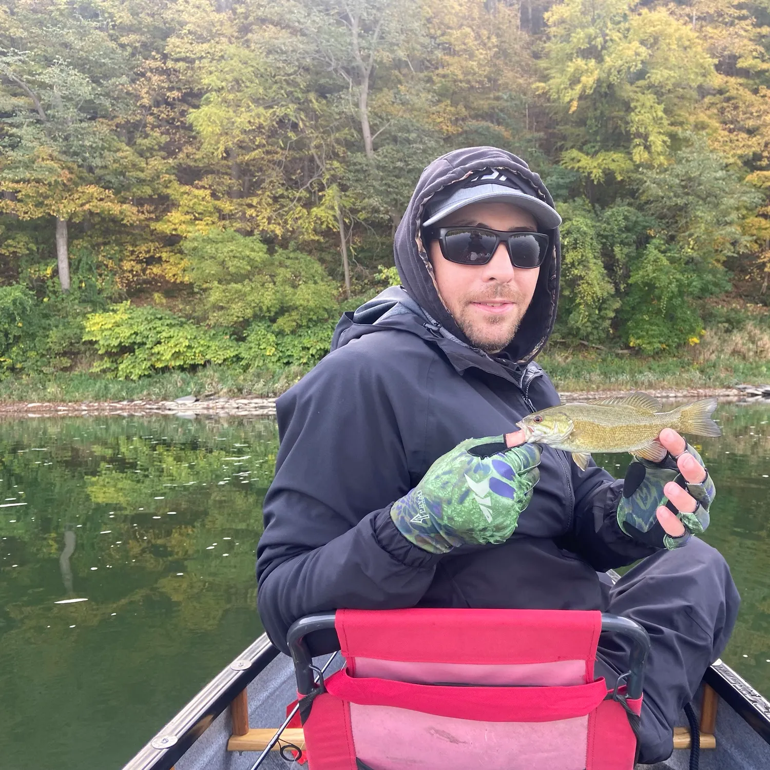 Smallmouth bass caught on Fishbrain