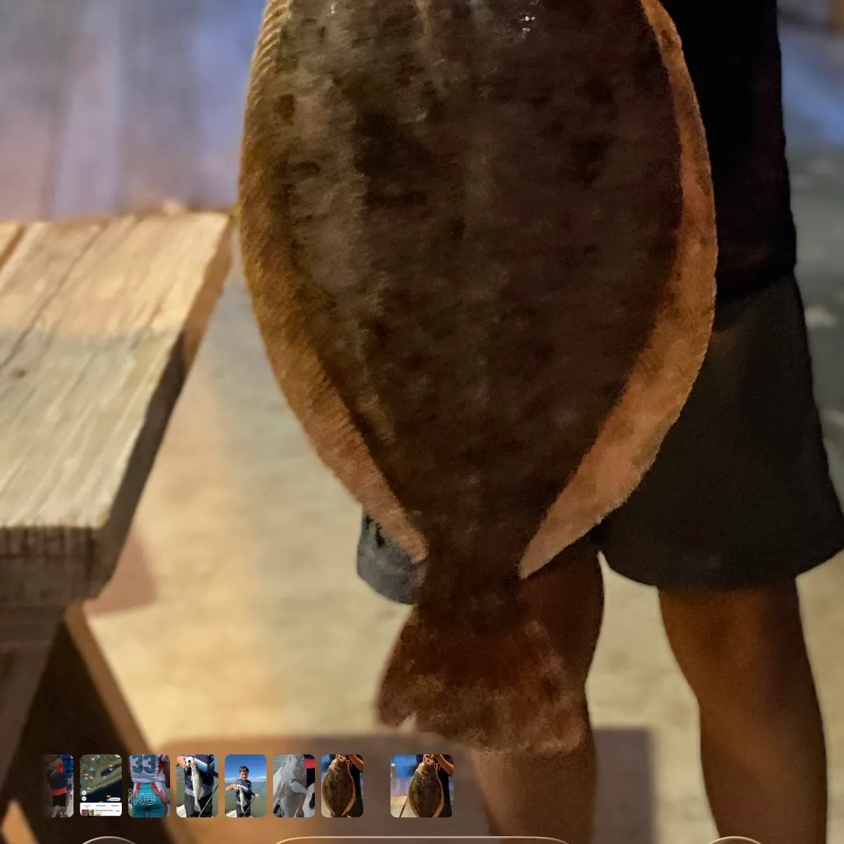 recently logged catches