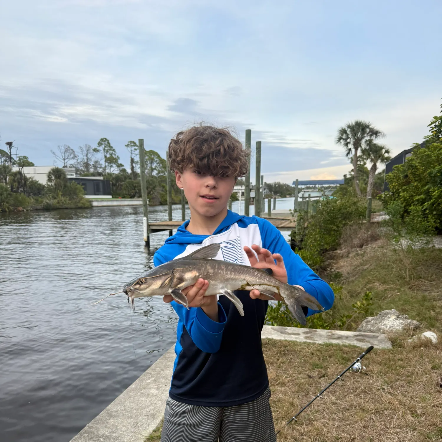 The most recent Coco sea catfish catches on Fishbrain