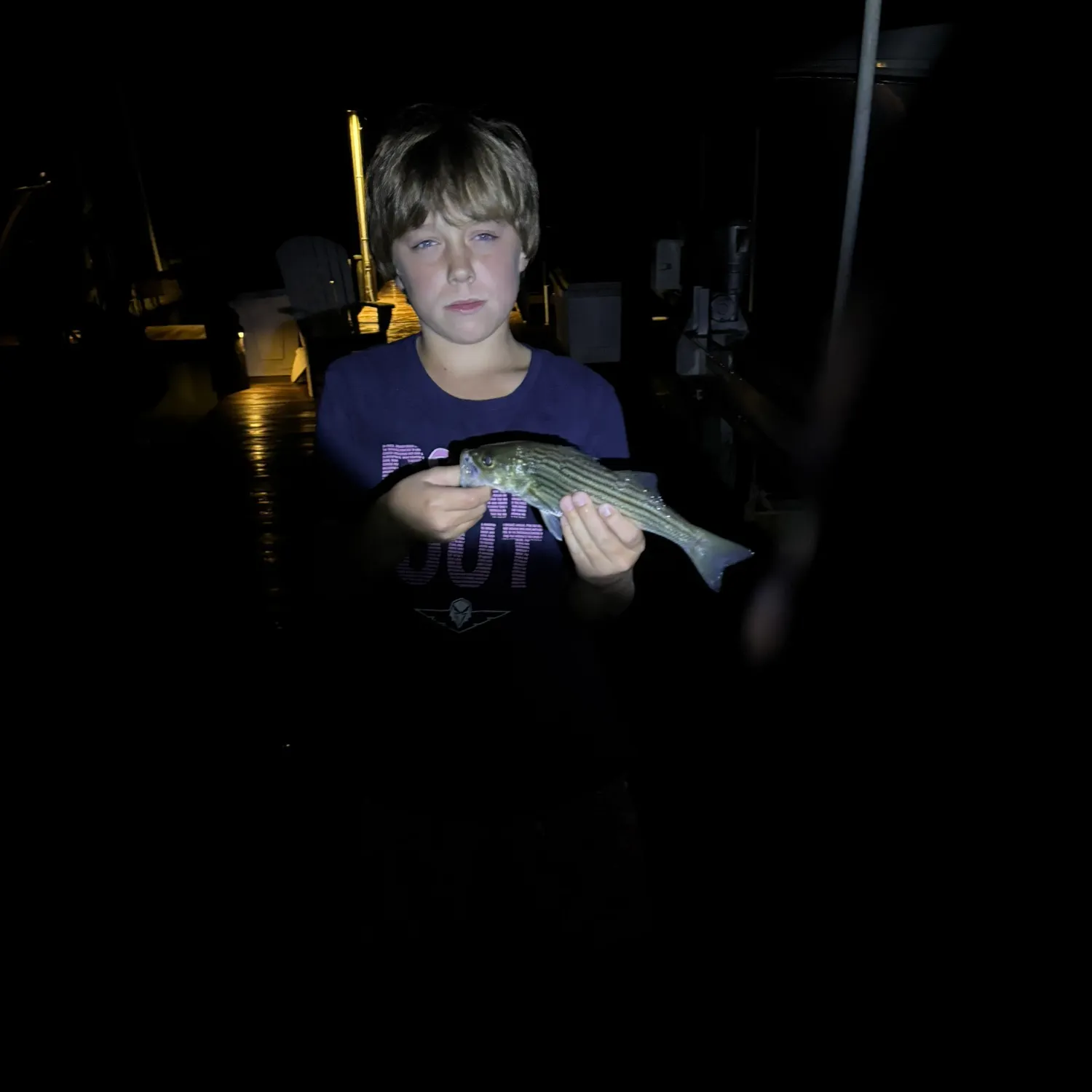 Striped bass caught on Fishbrain