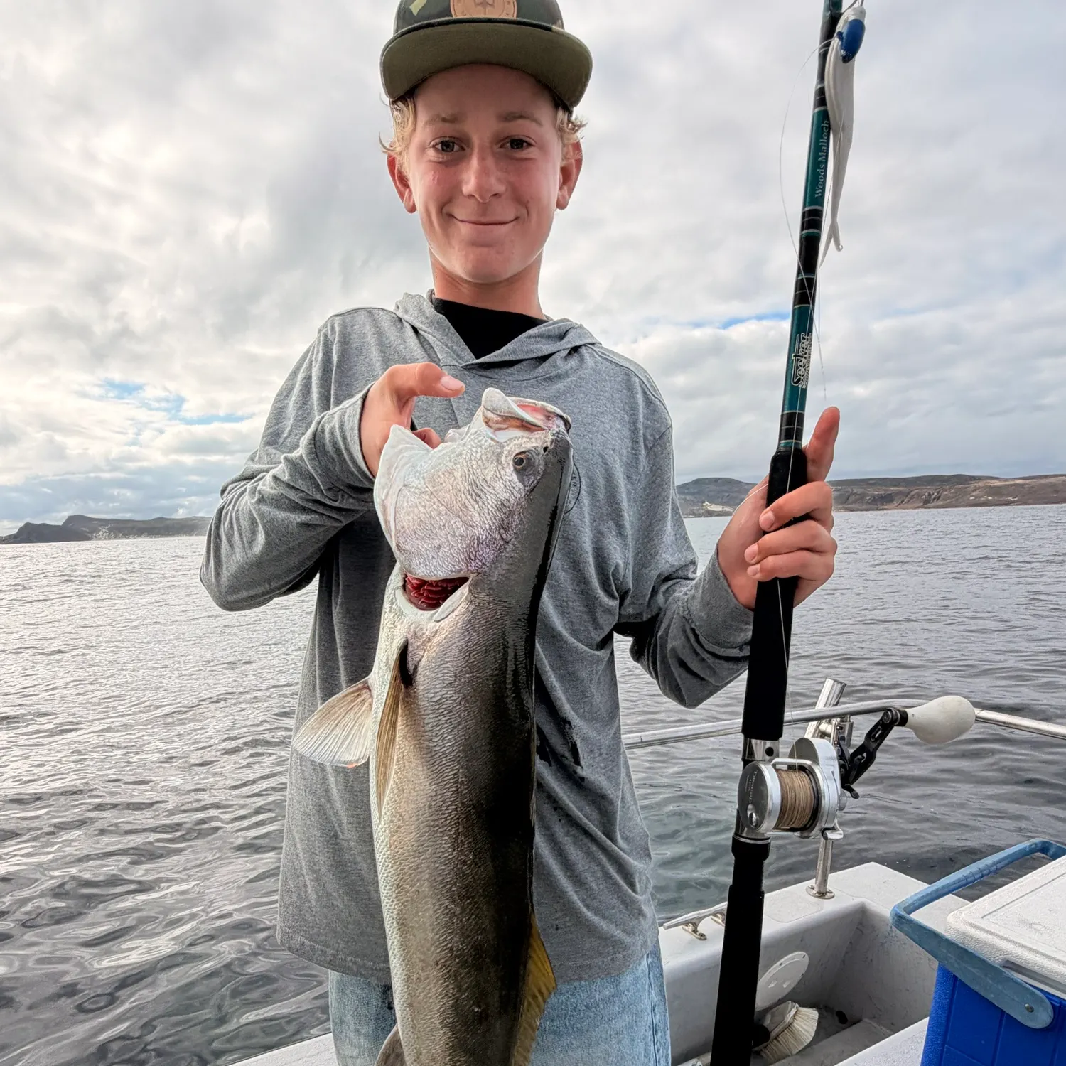 The most recent White seabass catches on Fishbrain
