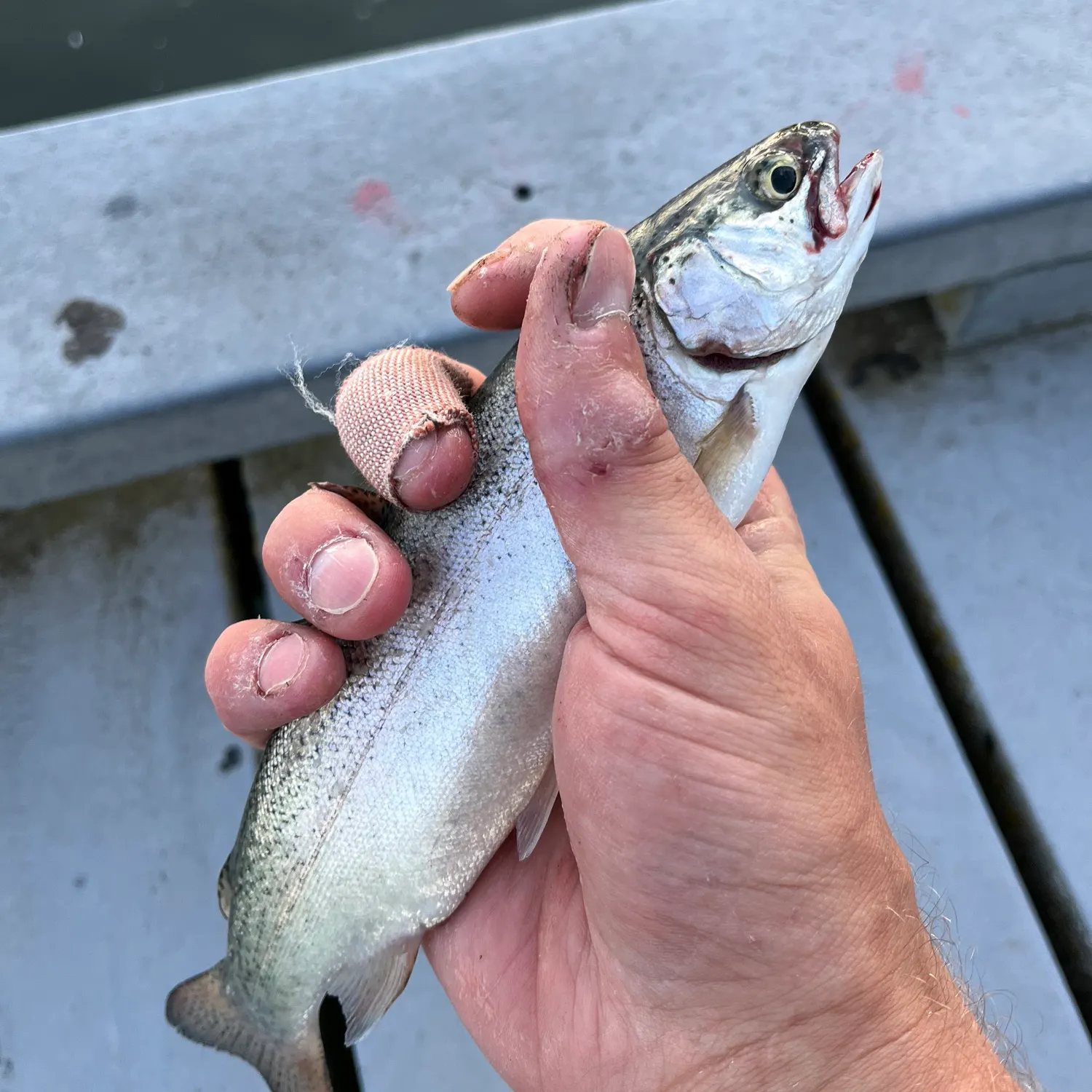 catch