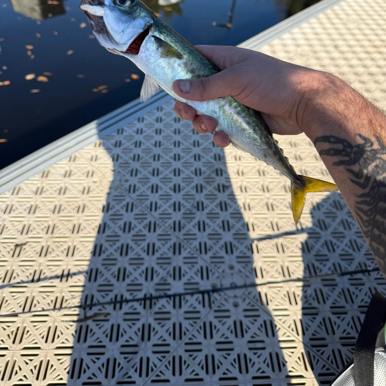 most liked catch image